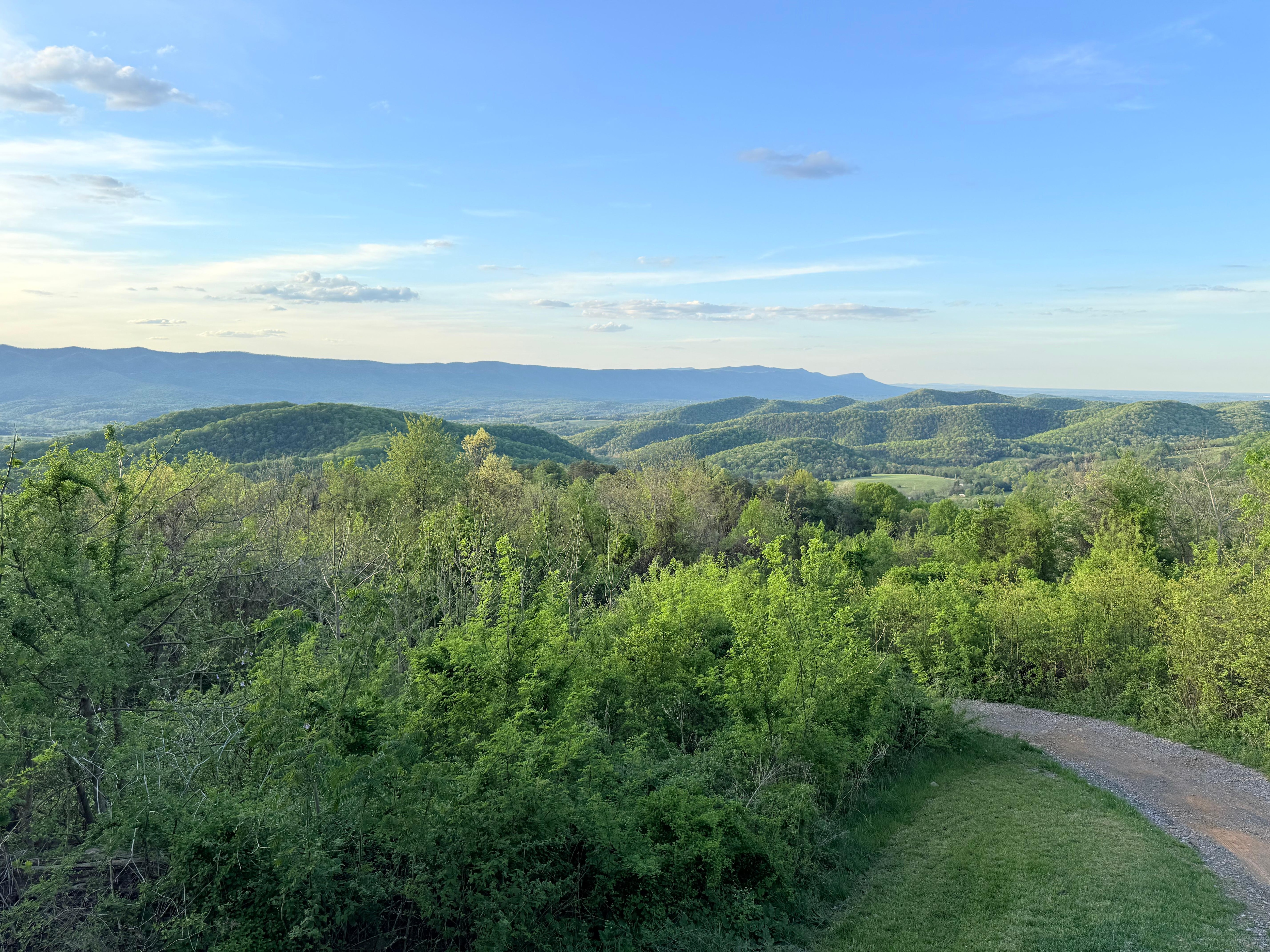 Beautiful view