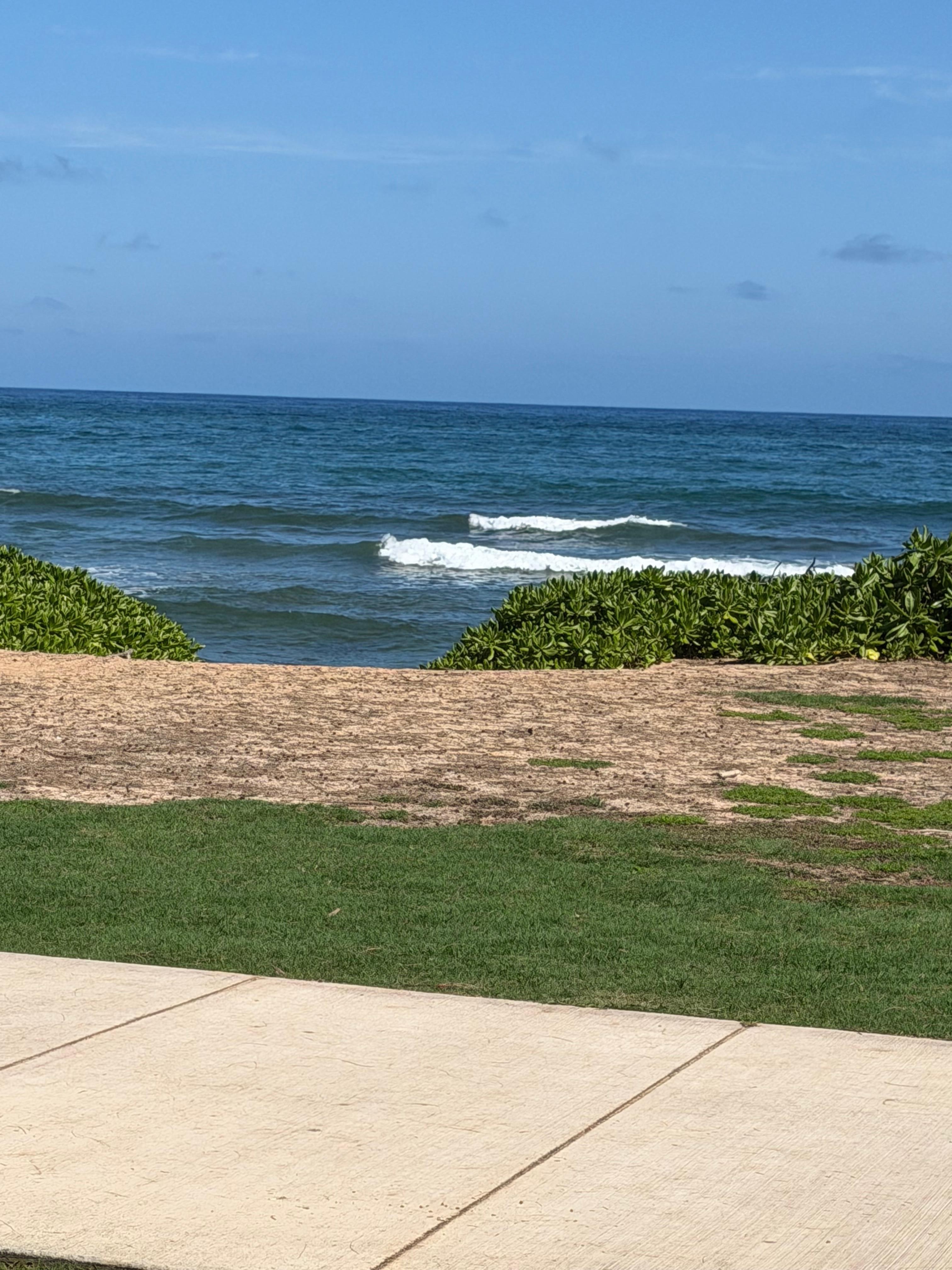 Patio view 