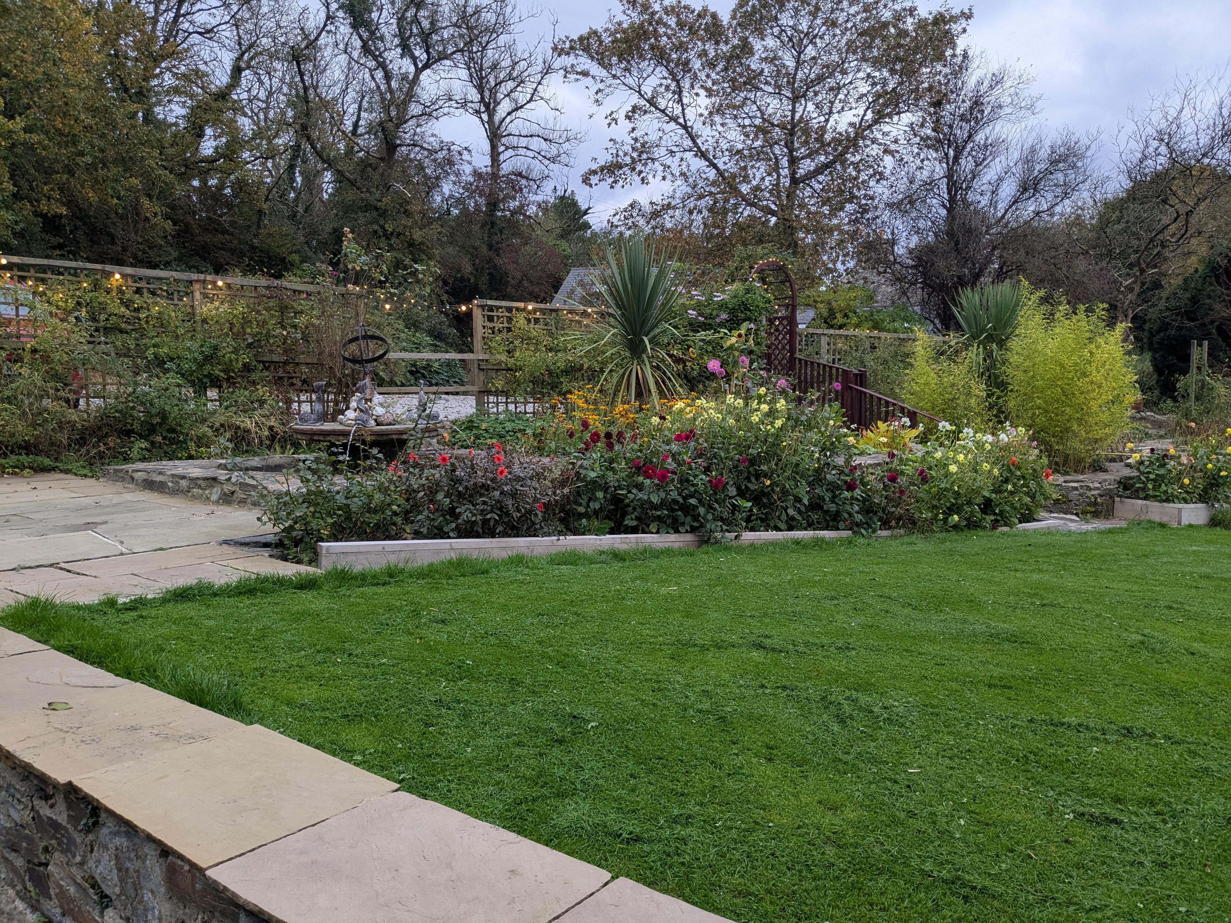 Lots of beautiful plants.