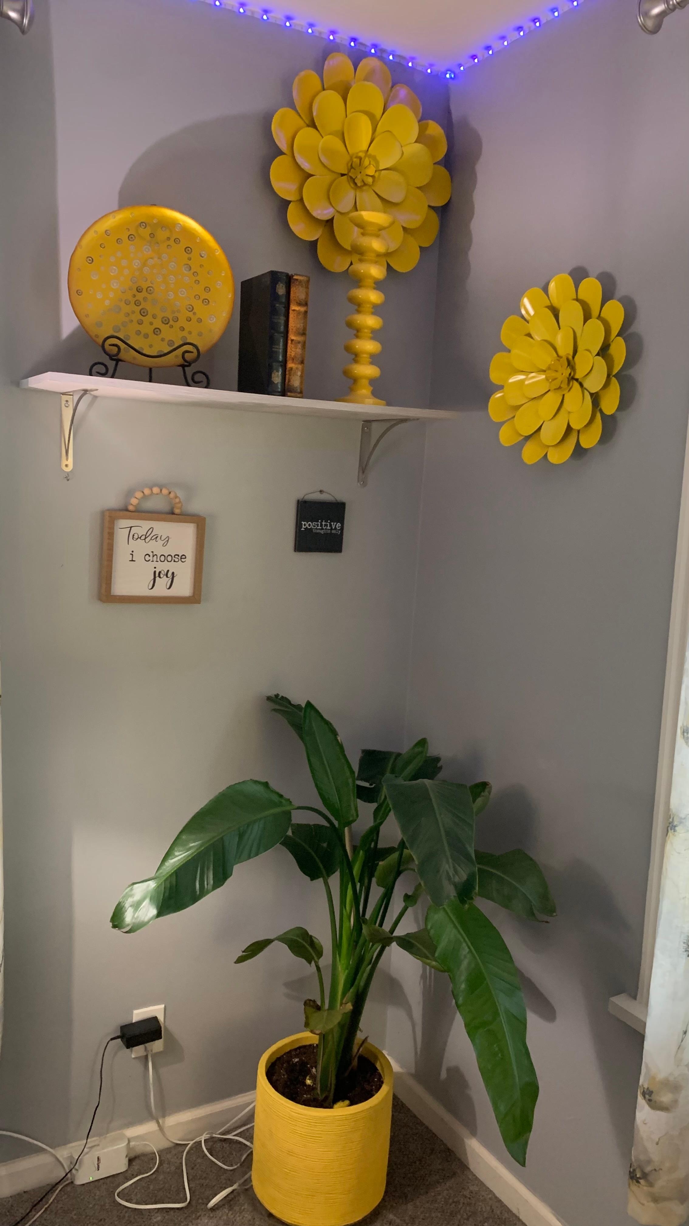 Random pics of the interior and exterior.