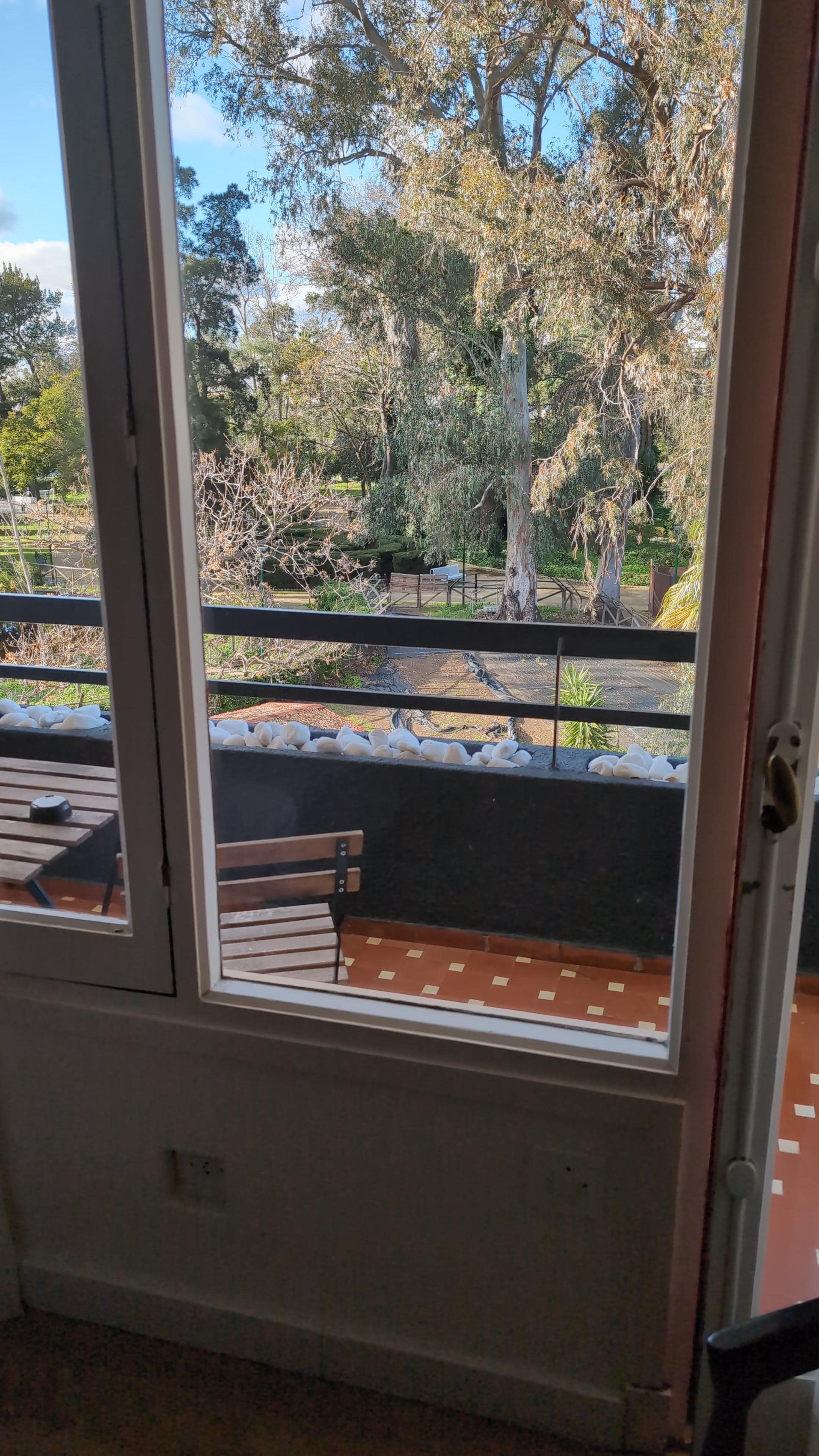 Balcony view overlooking park