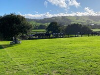 View from the patio
