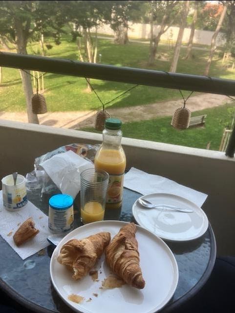 Dining on the terrace, overlooking a lovely park