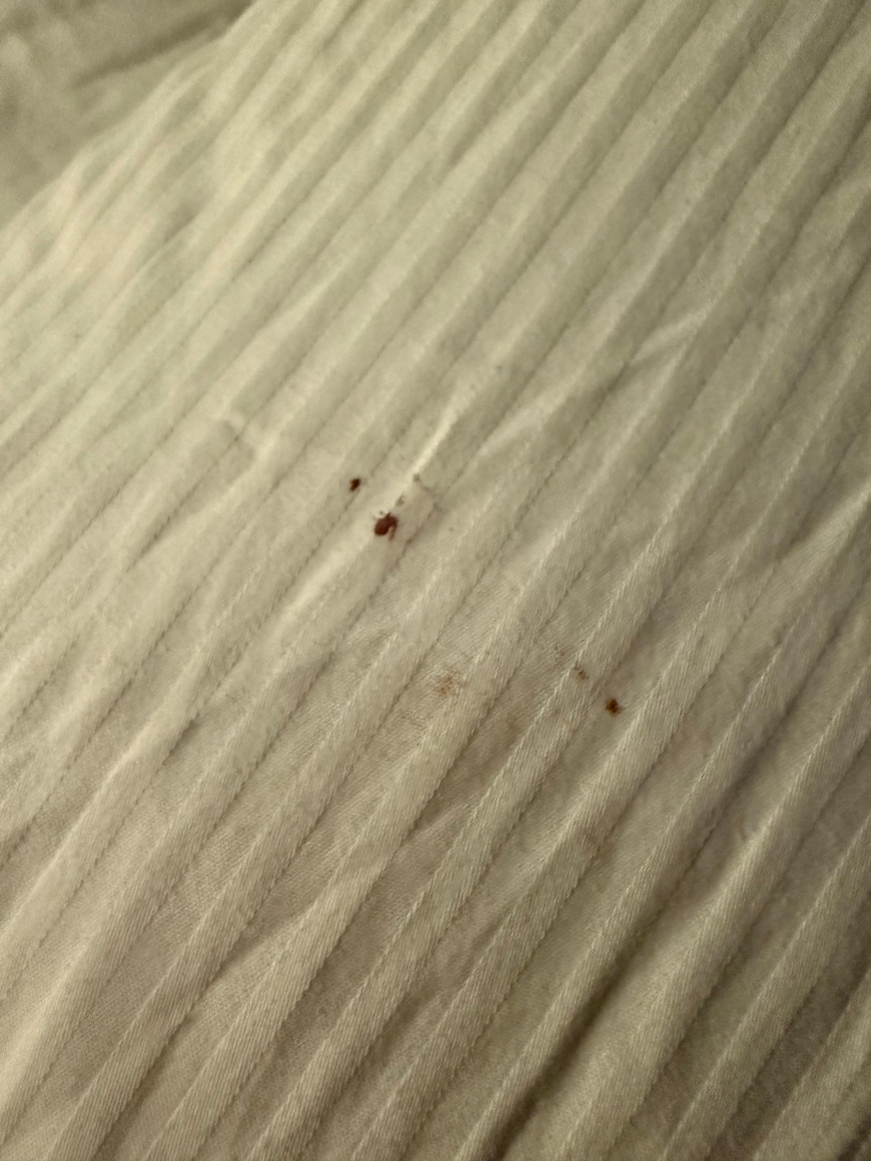 Blood stained pillows on our bed