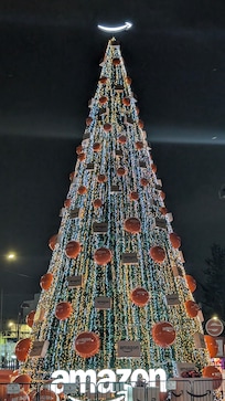 Amazon tree in the nearby Buena Vista mall