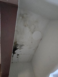 Mold and falling ceiling in closet