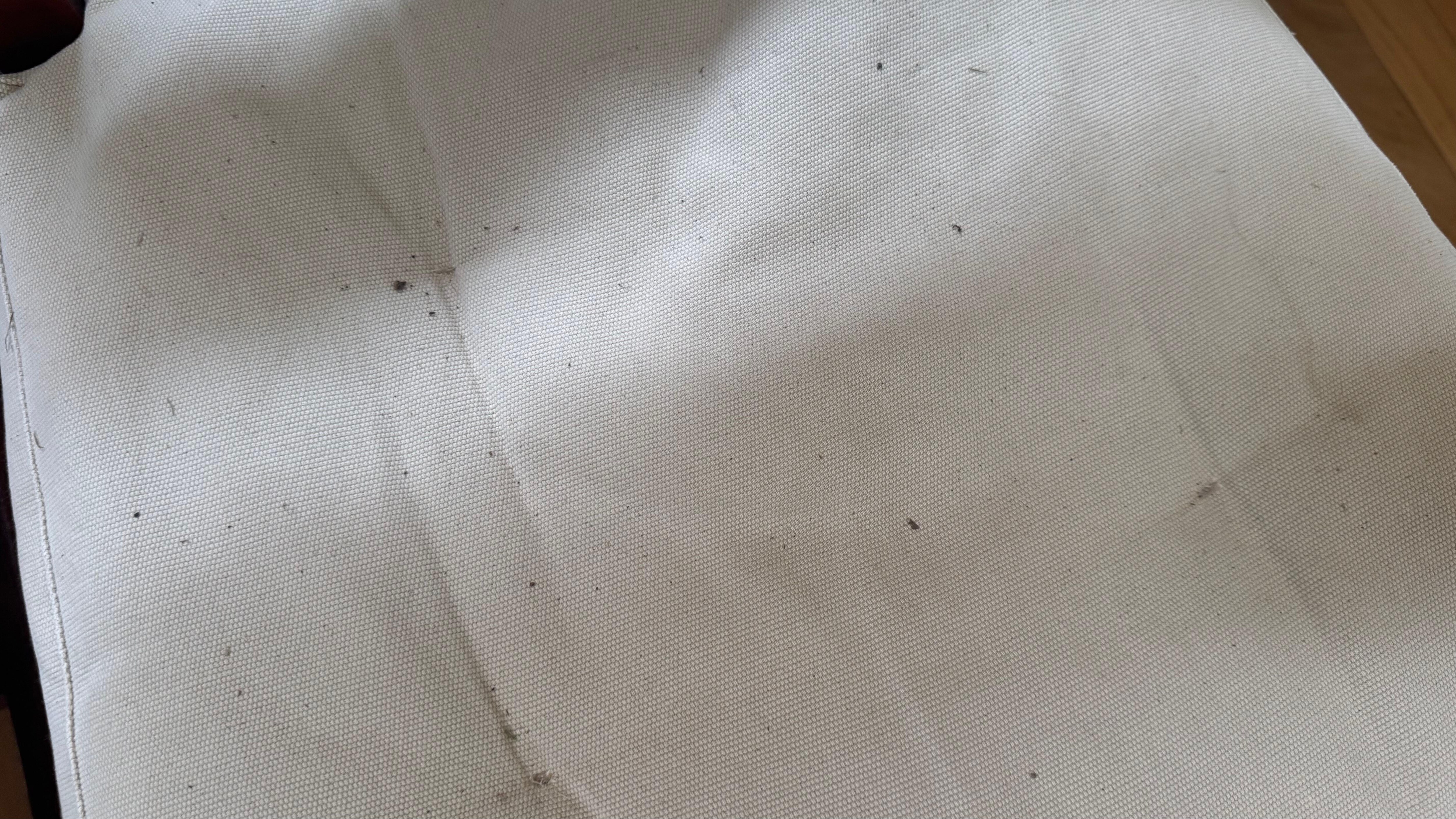 Black mold from AC unit