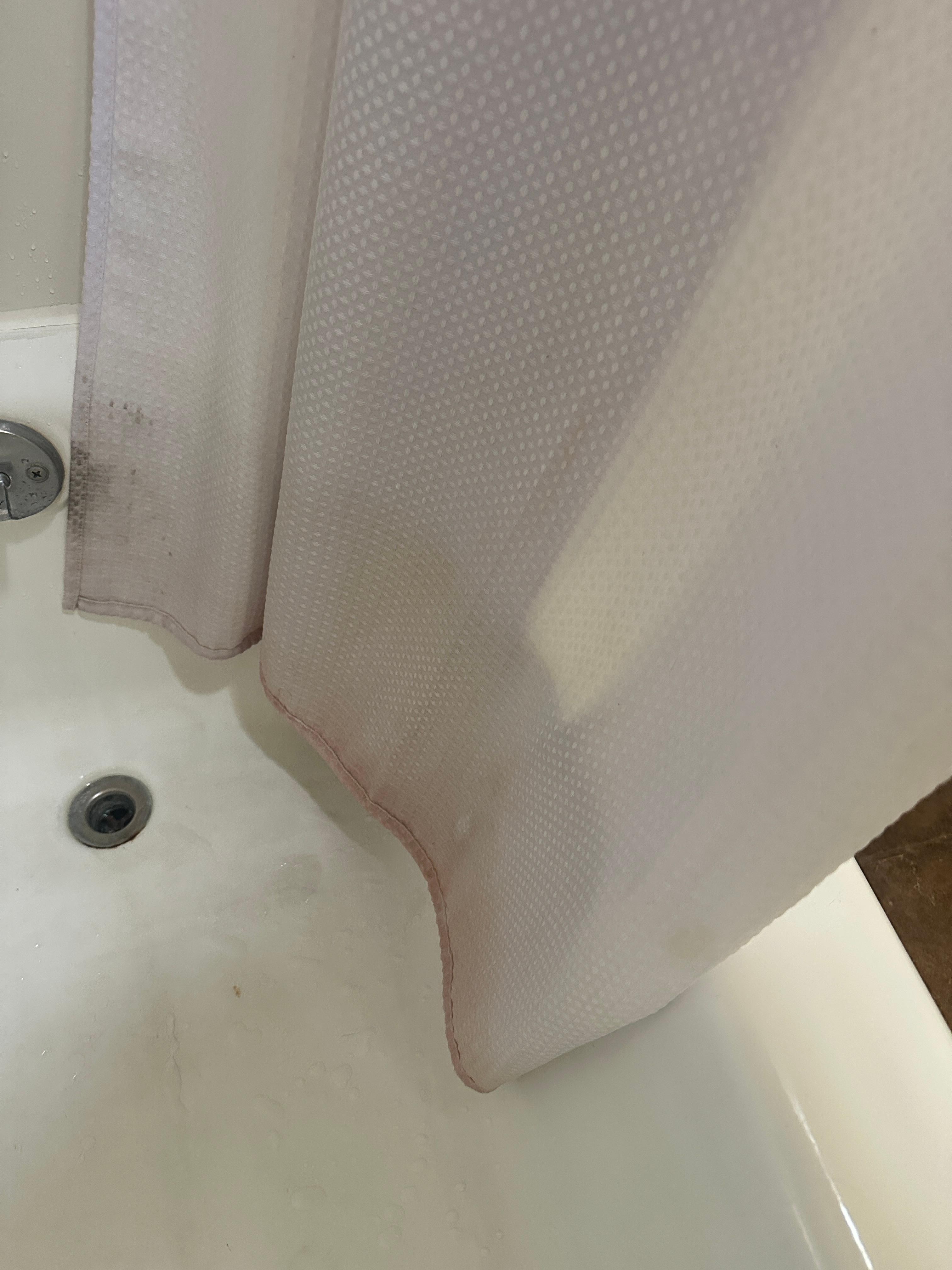 Dirty shower curtain.