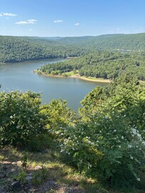 The view!
