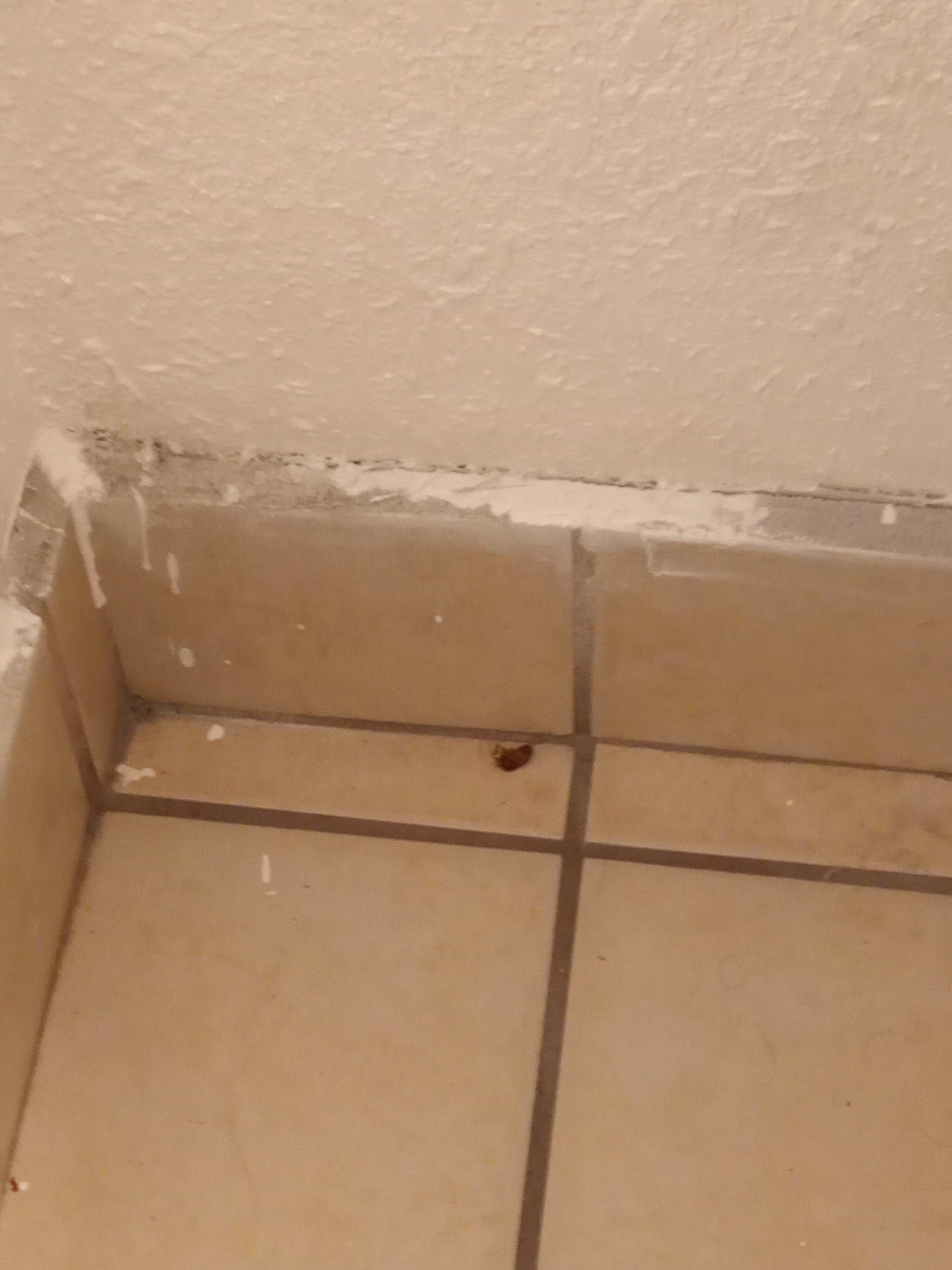 Dead roach found in bathroom where the floors are covered in cracks and black scuff holes of different shapes, and shower and sink water are low pressure, with a soap tray on wall in shower that's stained rusted brown yet he has soap and shampoo on i