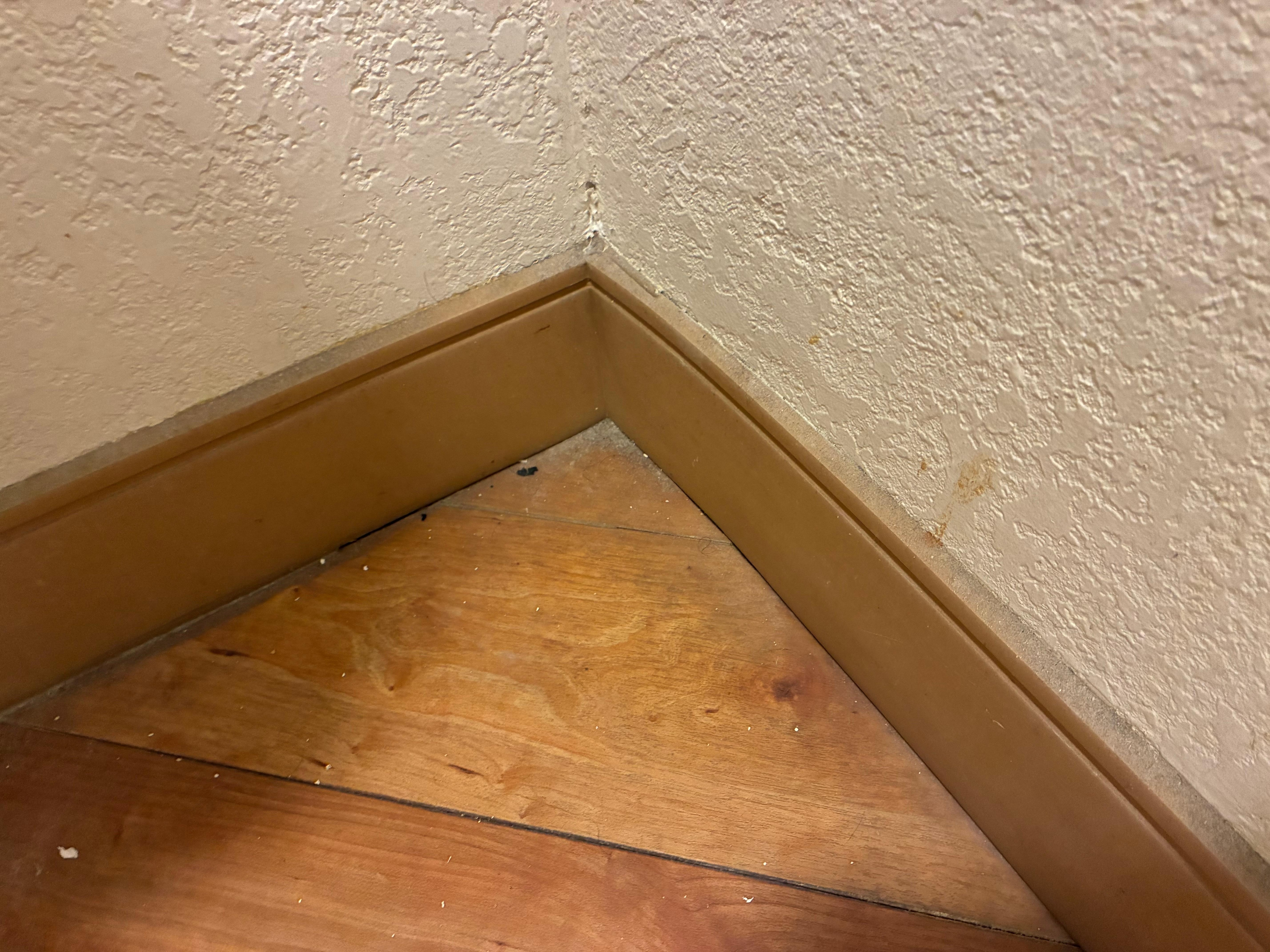 Superficial cleaning