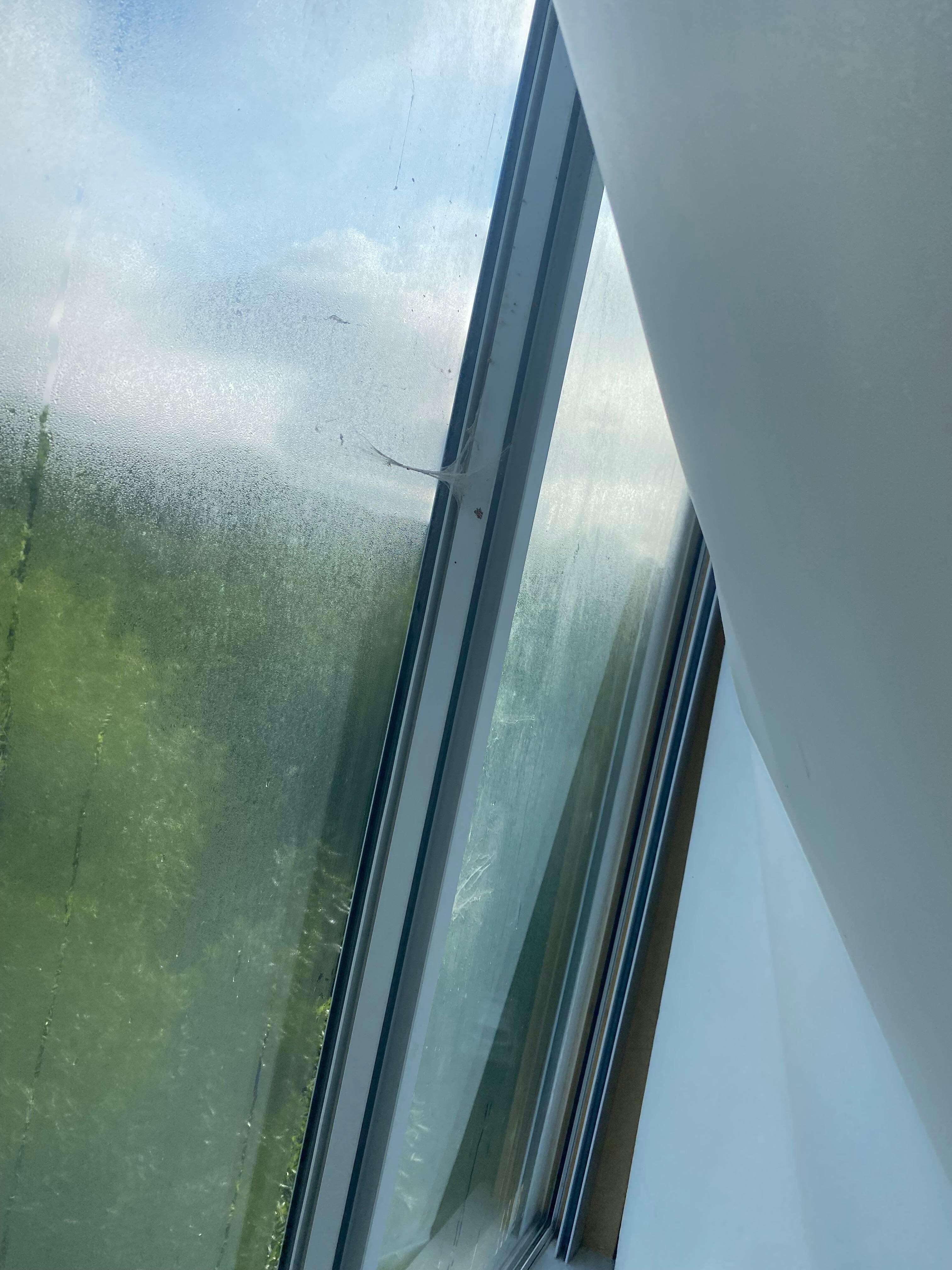 Broke shade and spider webs in the window 