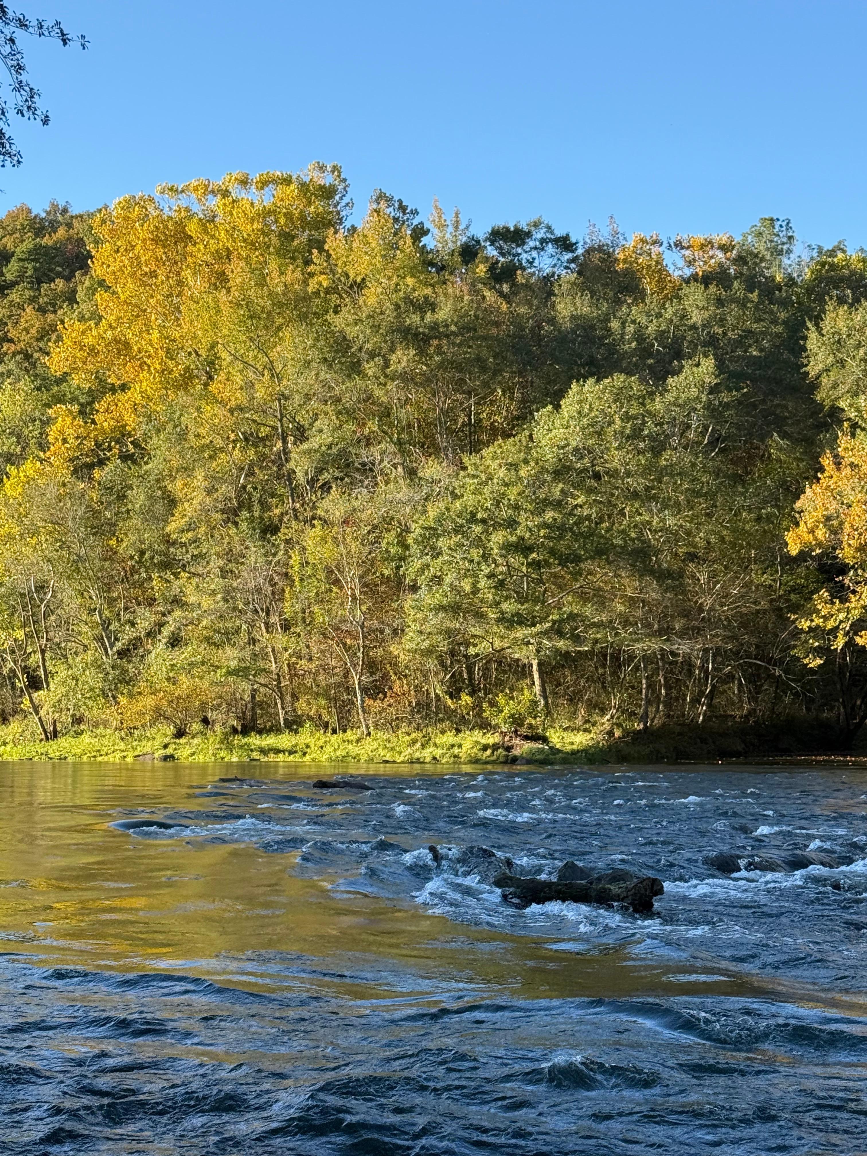 Beautiful area of the river.