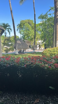 Gardens by pool