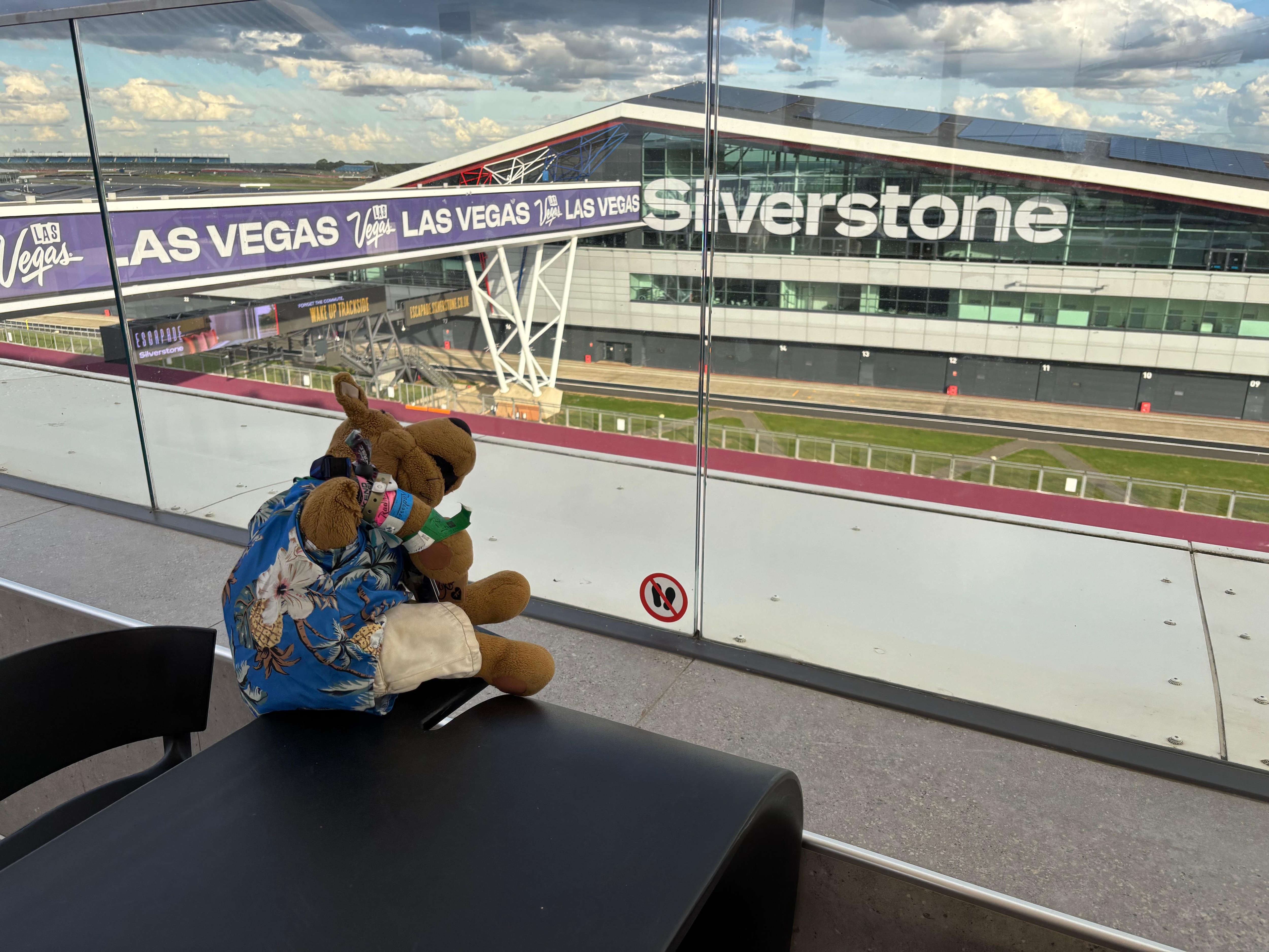 Scooby had a great view