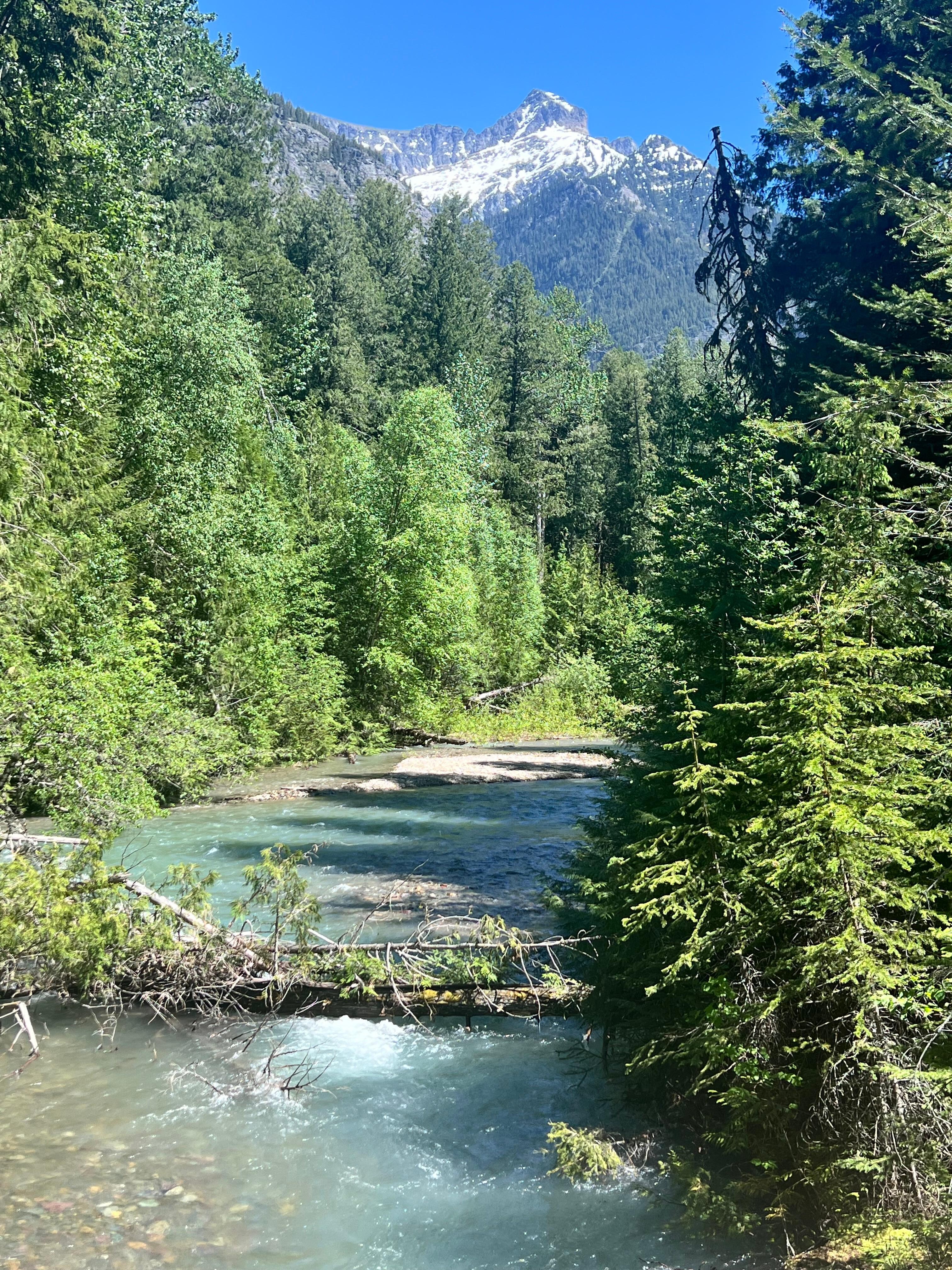 Glacier National Park, missoula rafting, Dutton Ranch, and property.
