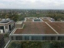 Pleasant view