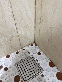 Black mold in the shower