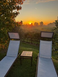 Loungers