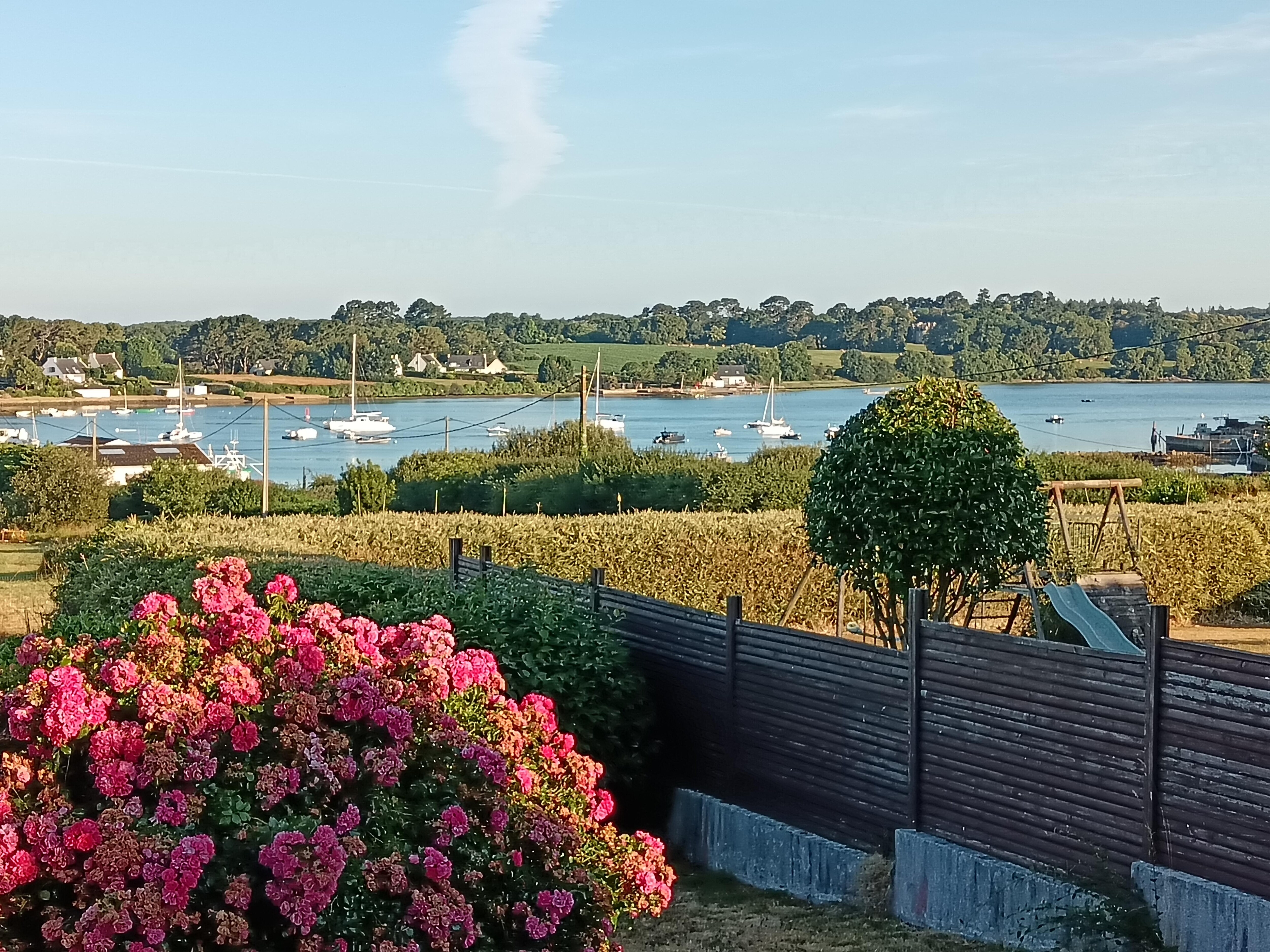 Vue de la terrasse du logement 