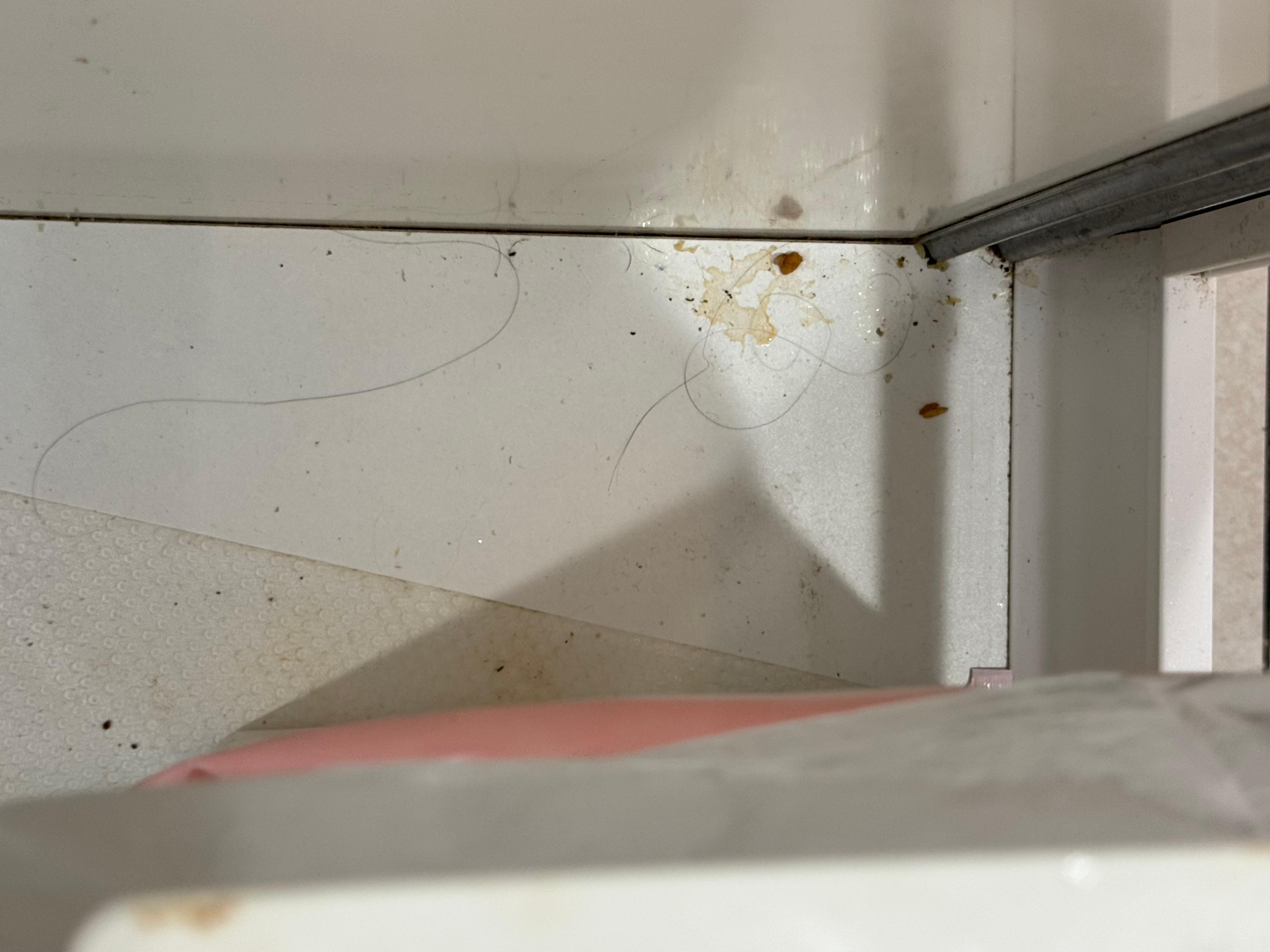 Dirt under kitchen sink