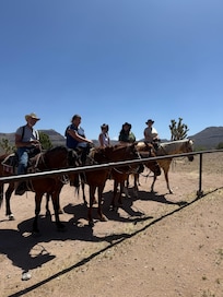 Horseback riding fun!