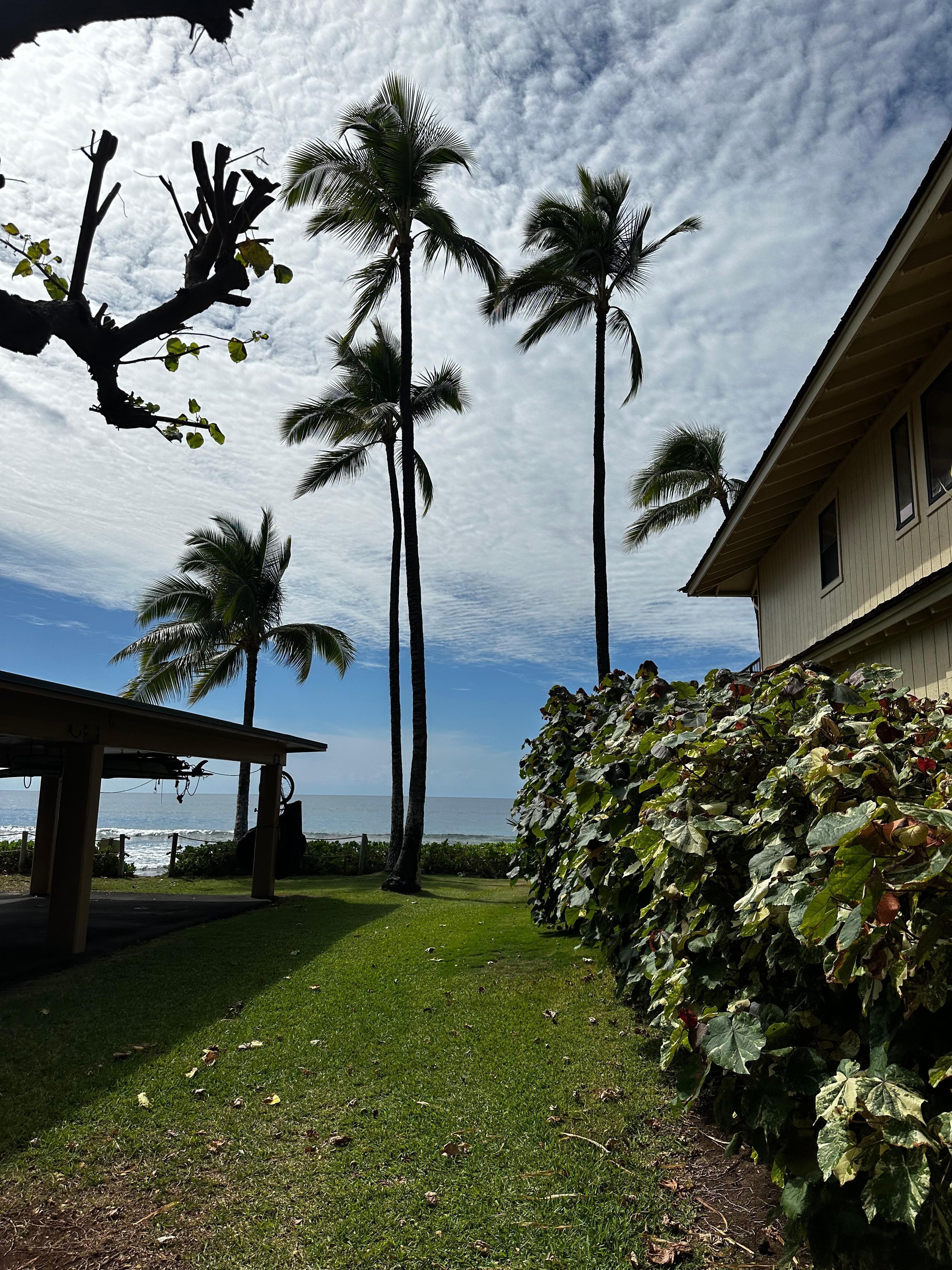Side lawn from where we parked