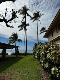 Side lawn from where we parked