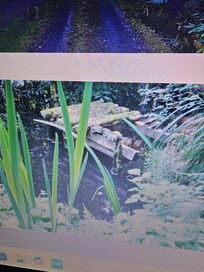 her photo just to show the misreps