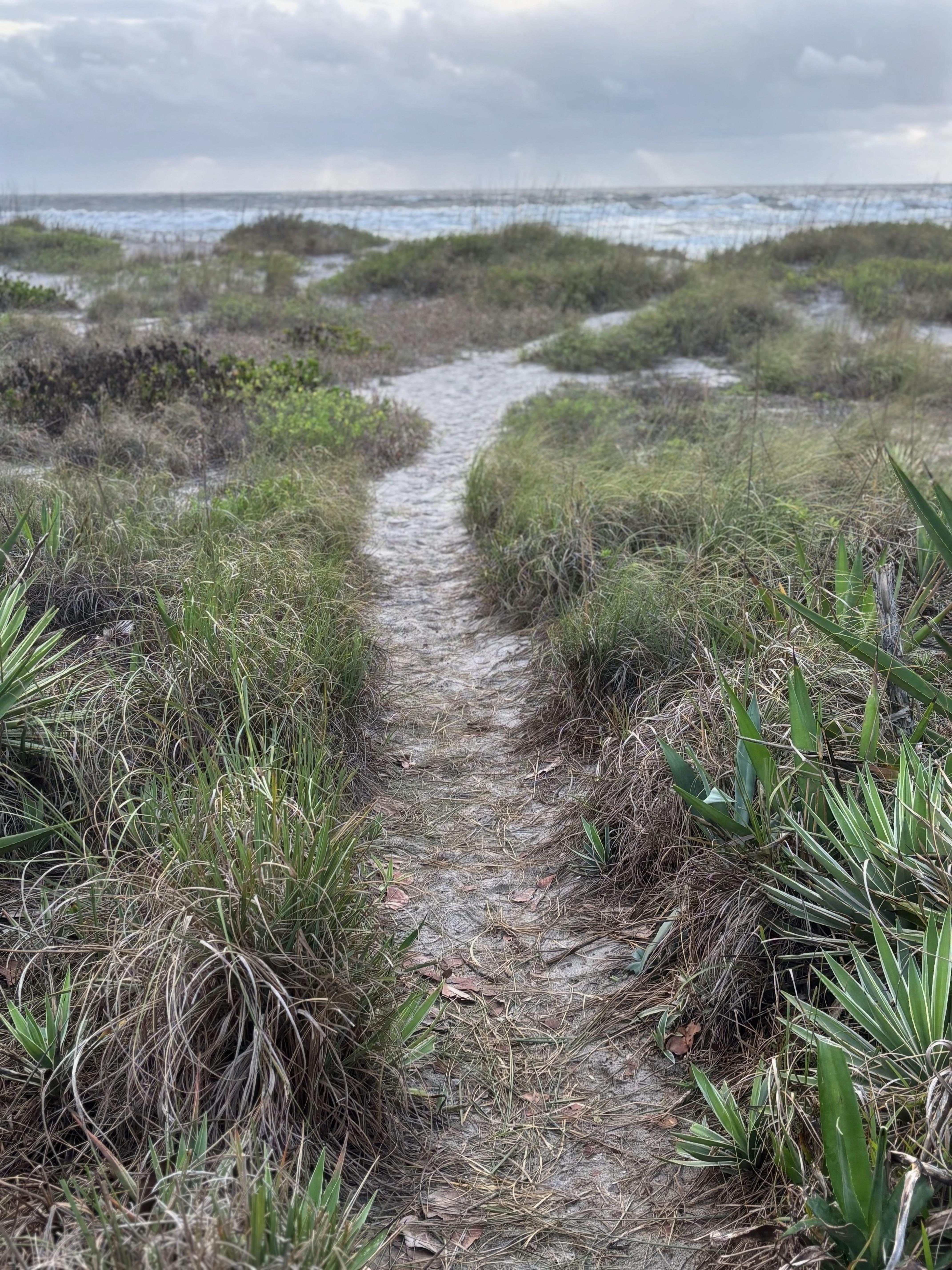 Trail to beach