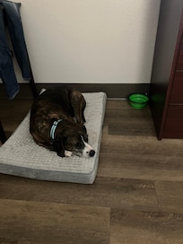 Perfect spot to nap