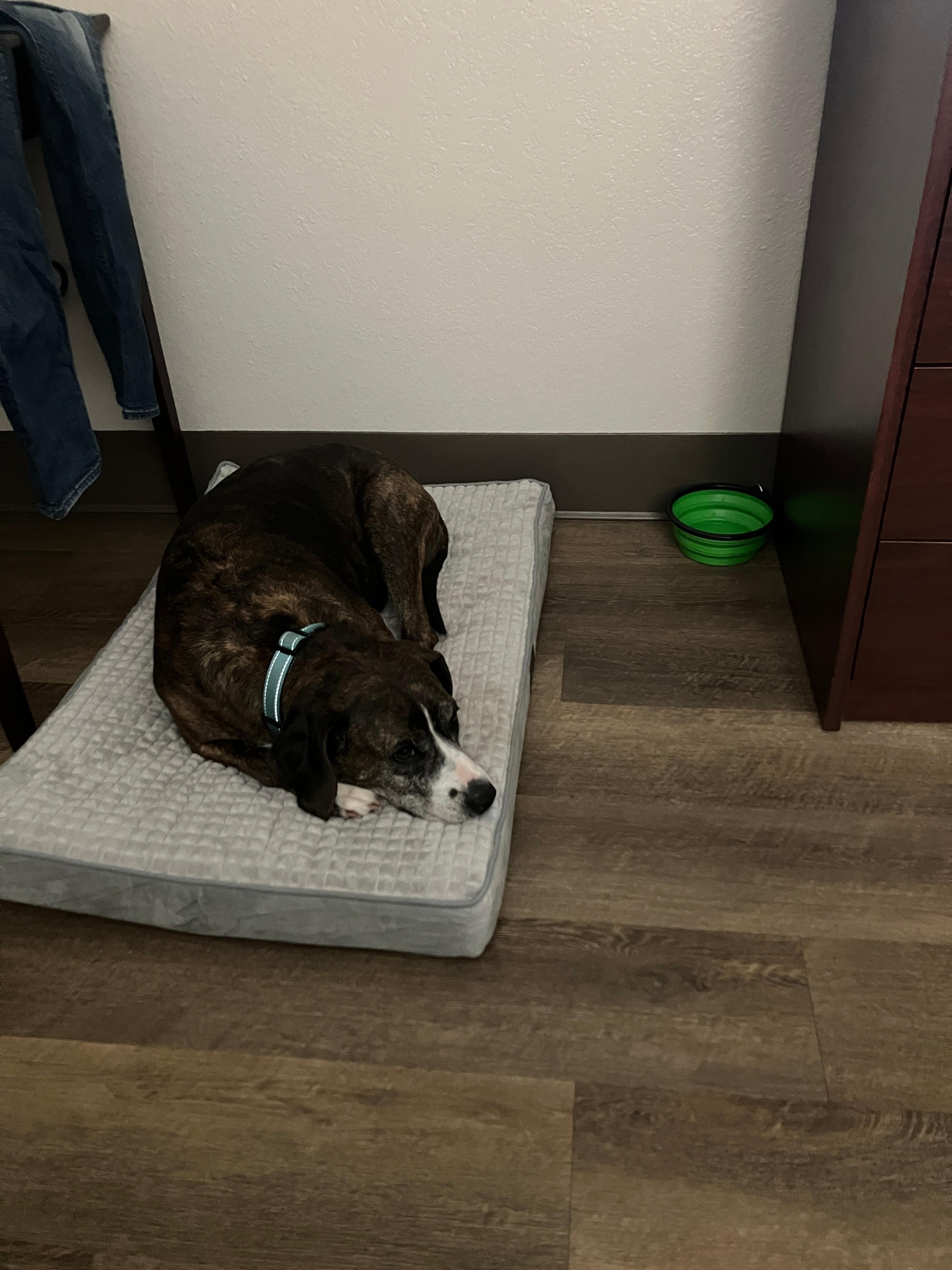 Perfect spot to nap