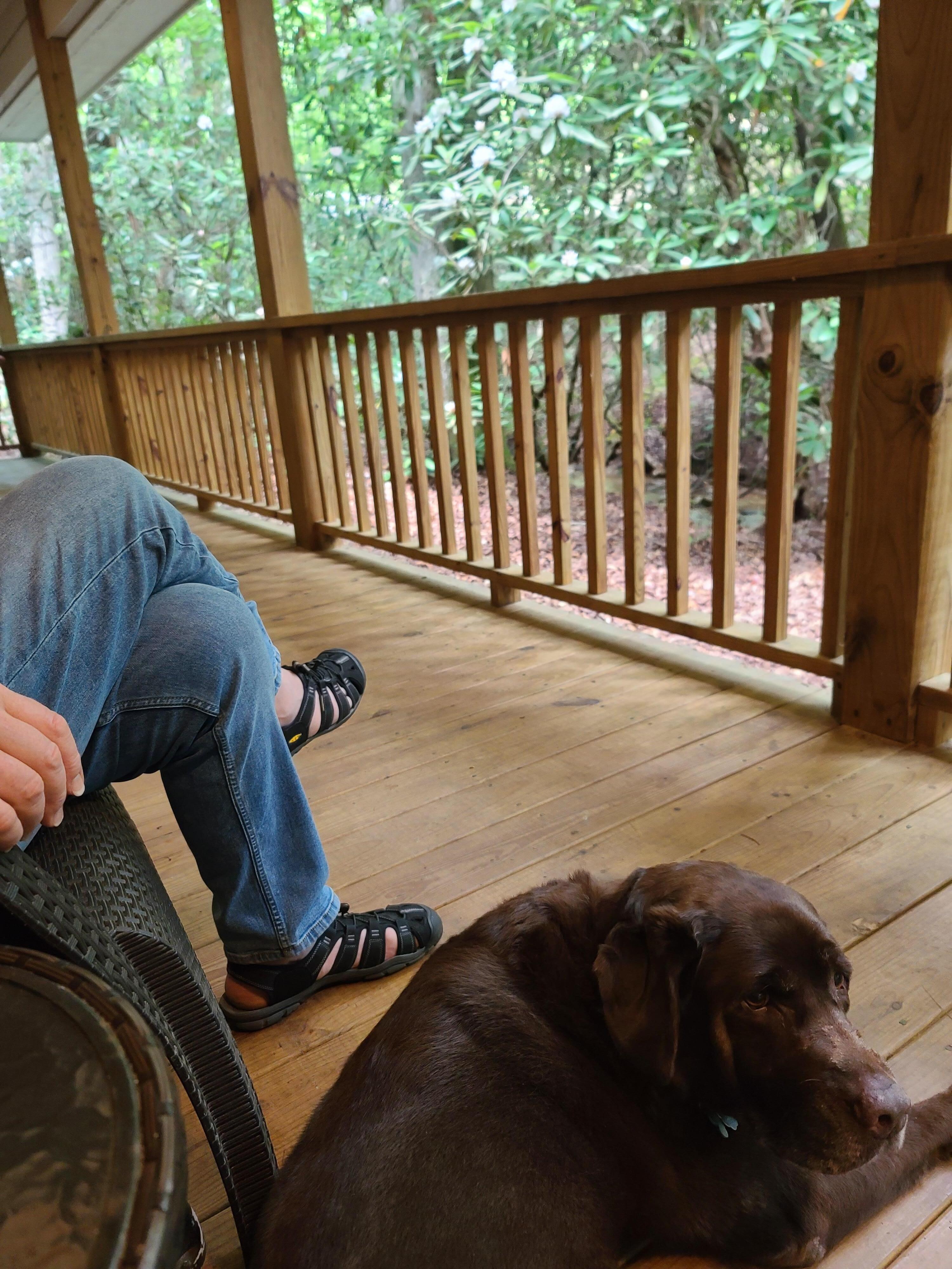 Fabulous creekside porch