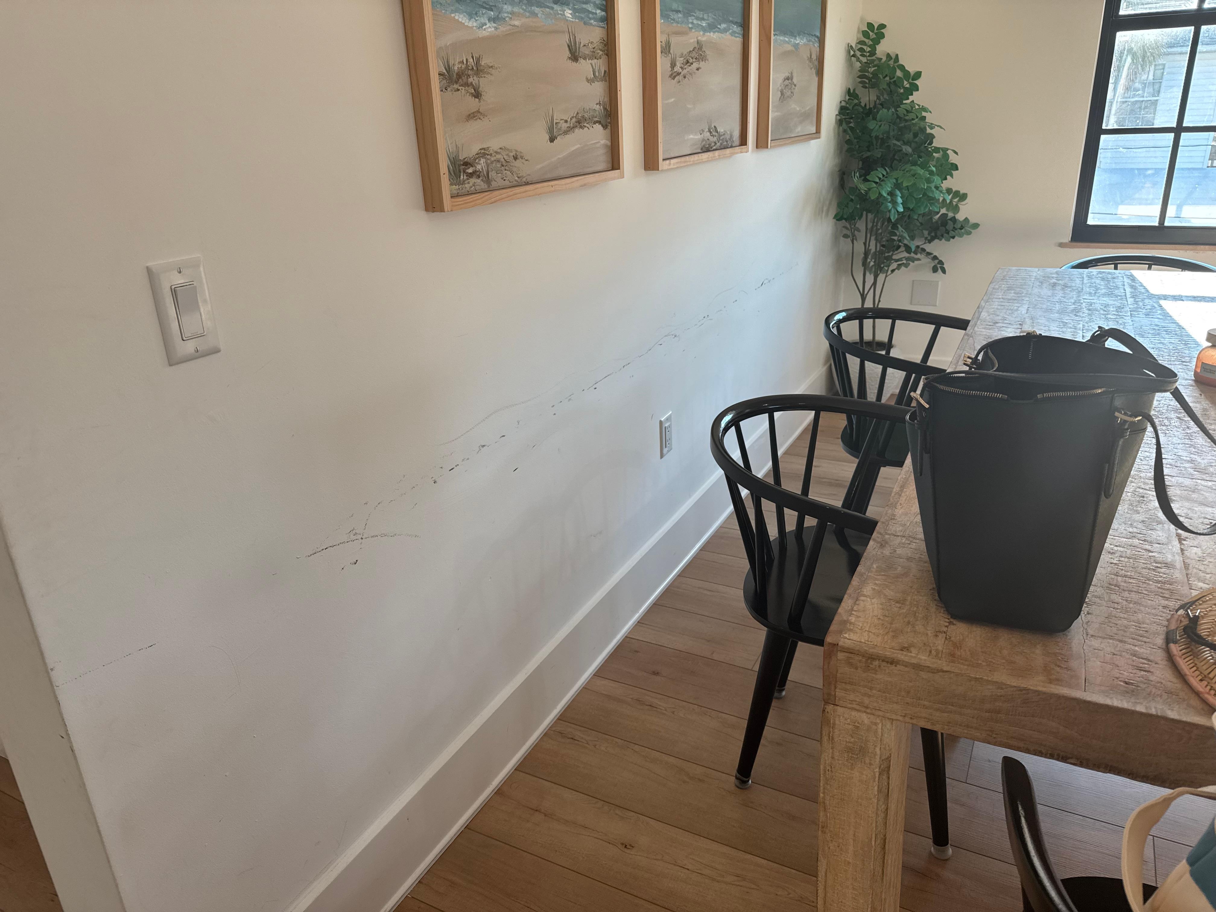Scuffs on the dining room wall.