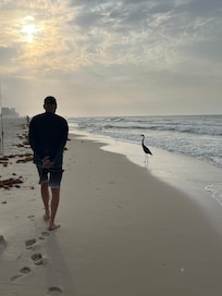 Beach just steps away from building