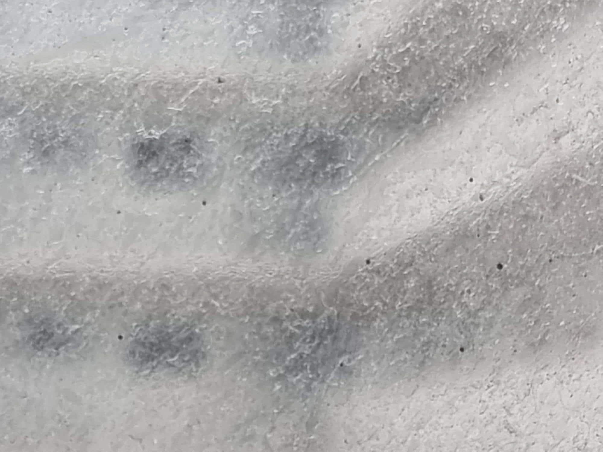 Filthy bedroom window.