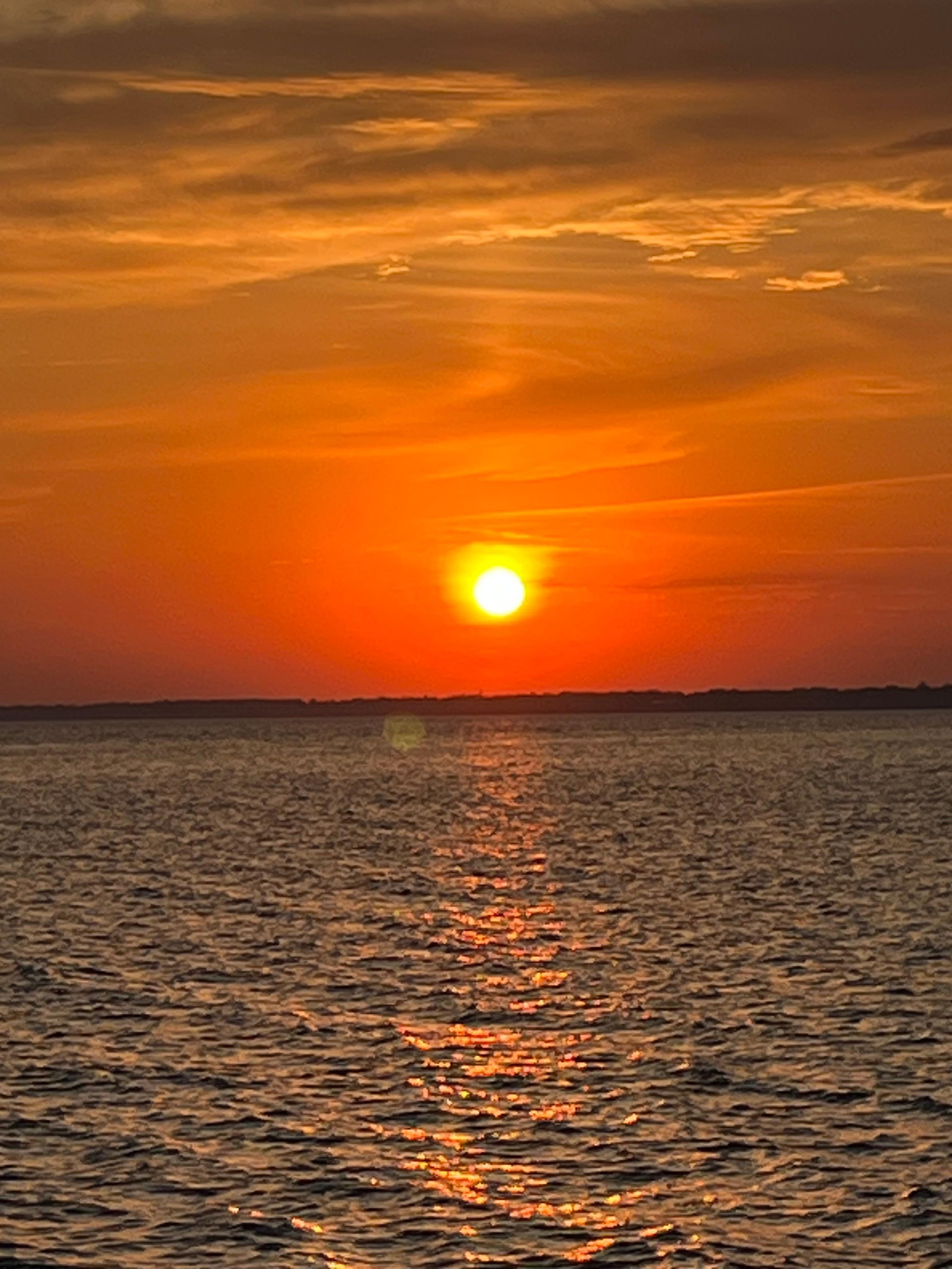 Watched this Beautiful sunset from the backyard