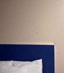 Immediately walked into a roach on the wall of the bed