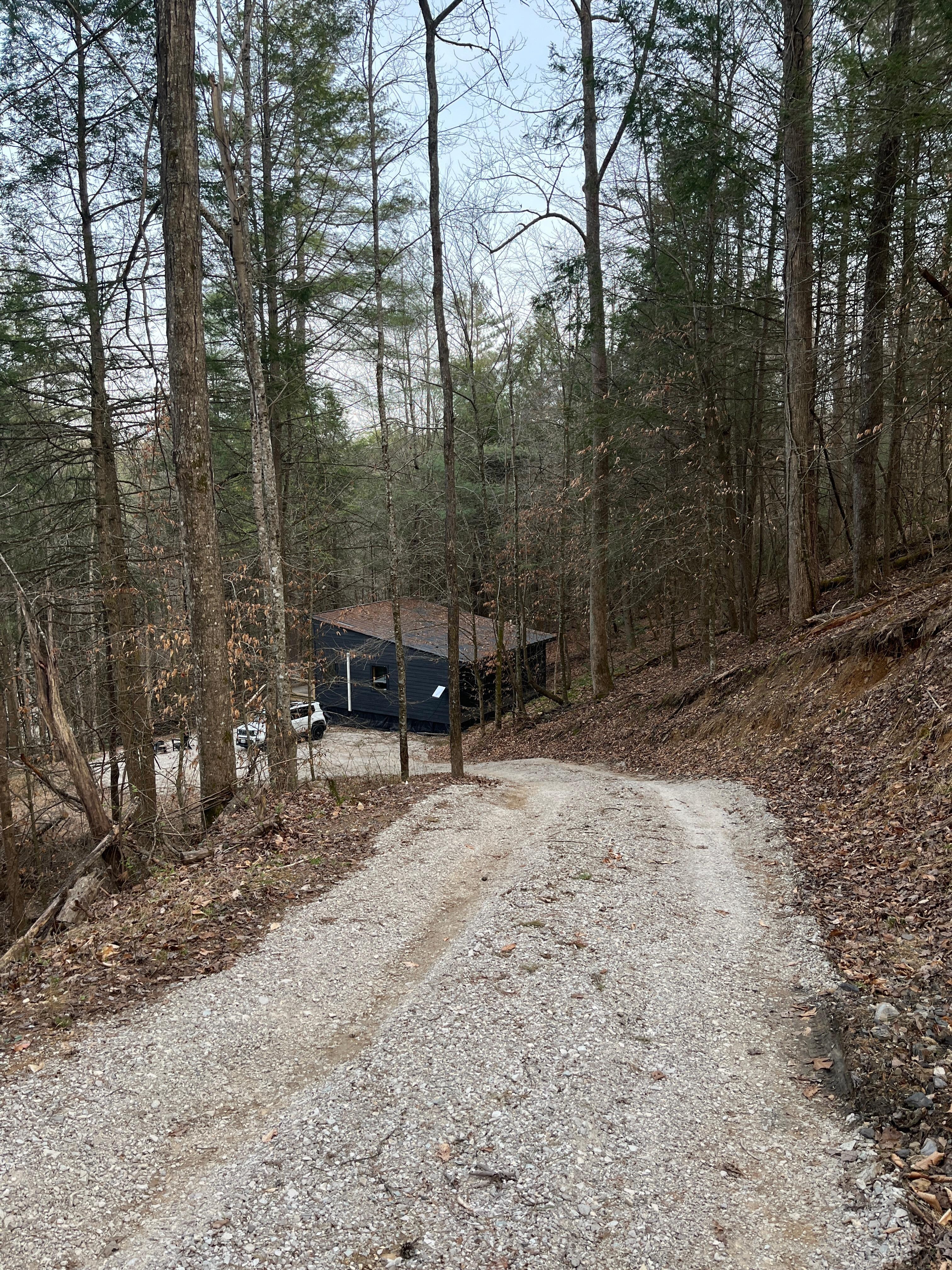 Steep drive down to cabin.