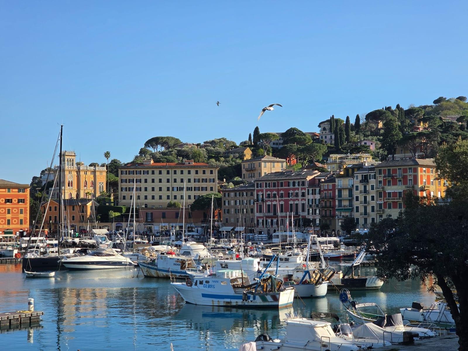 The view from the terrace of the room :)