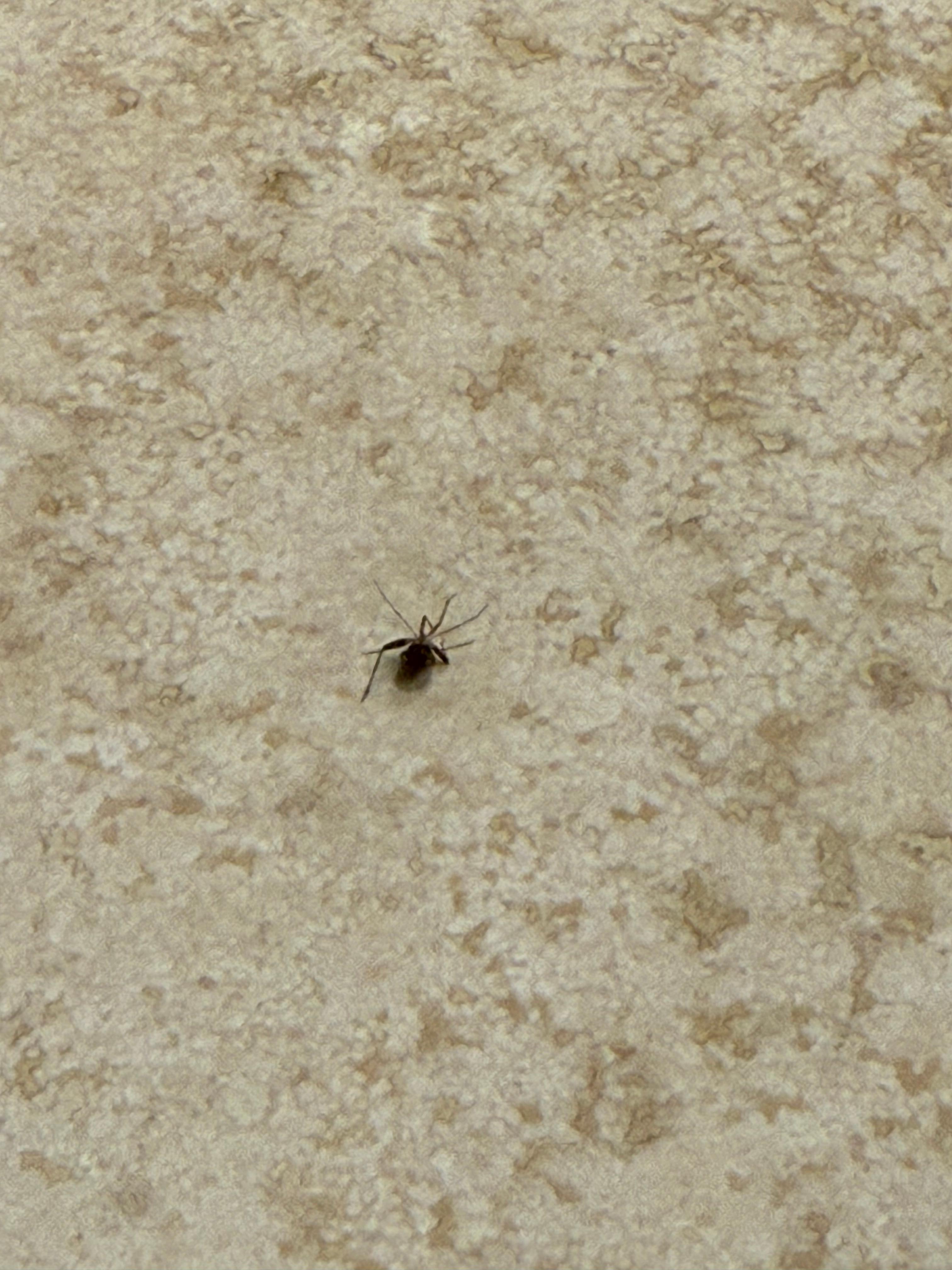 In our bathroom