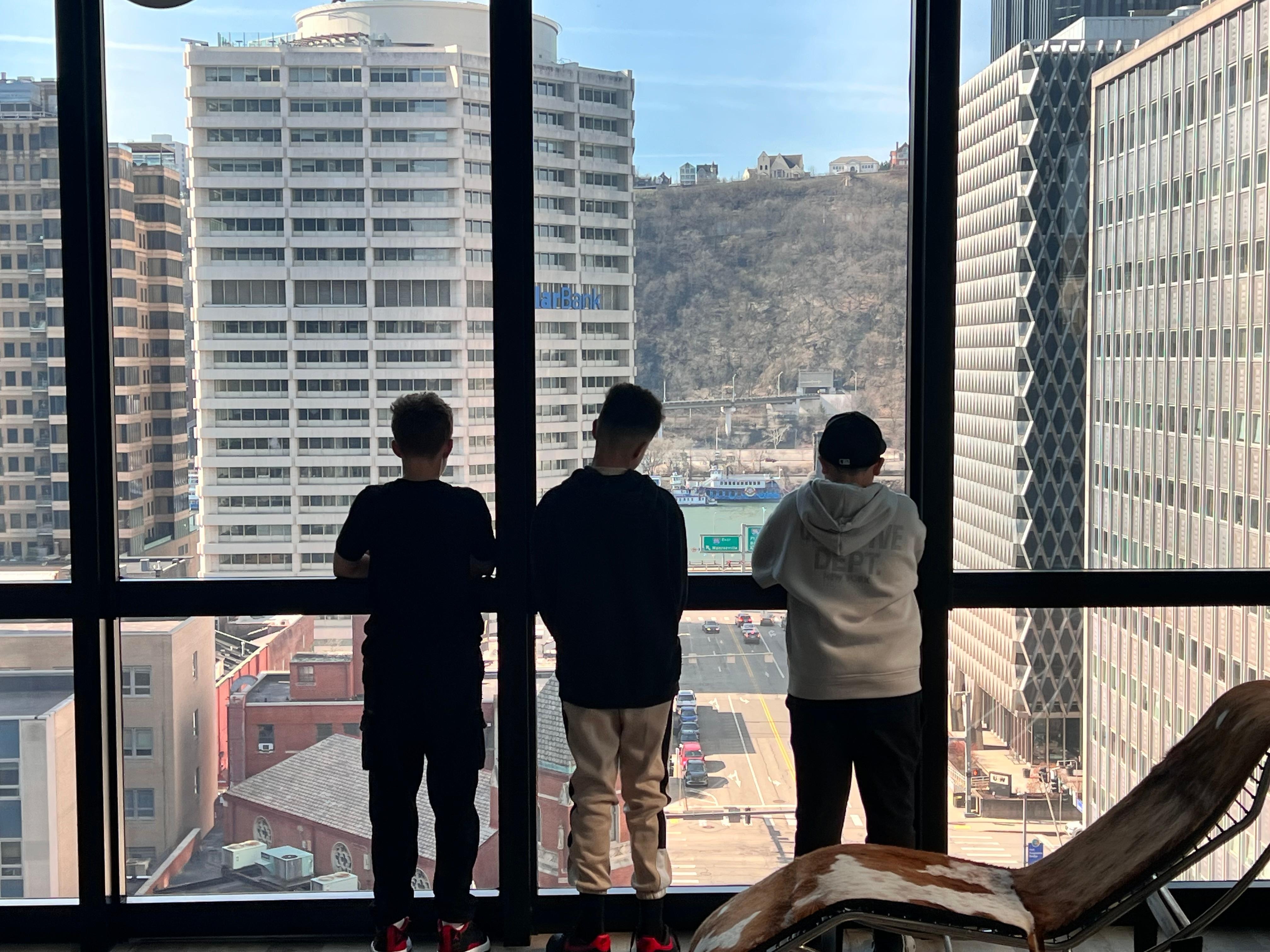 View out of living room window. 