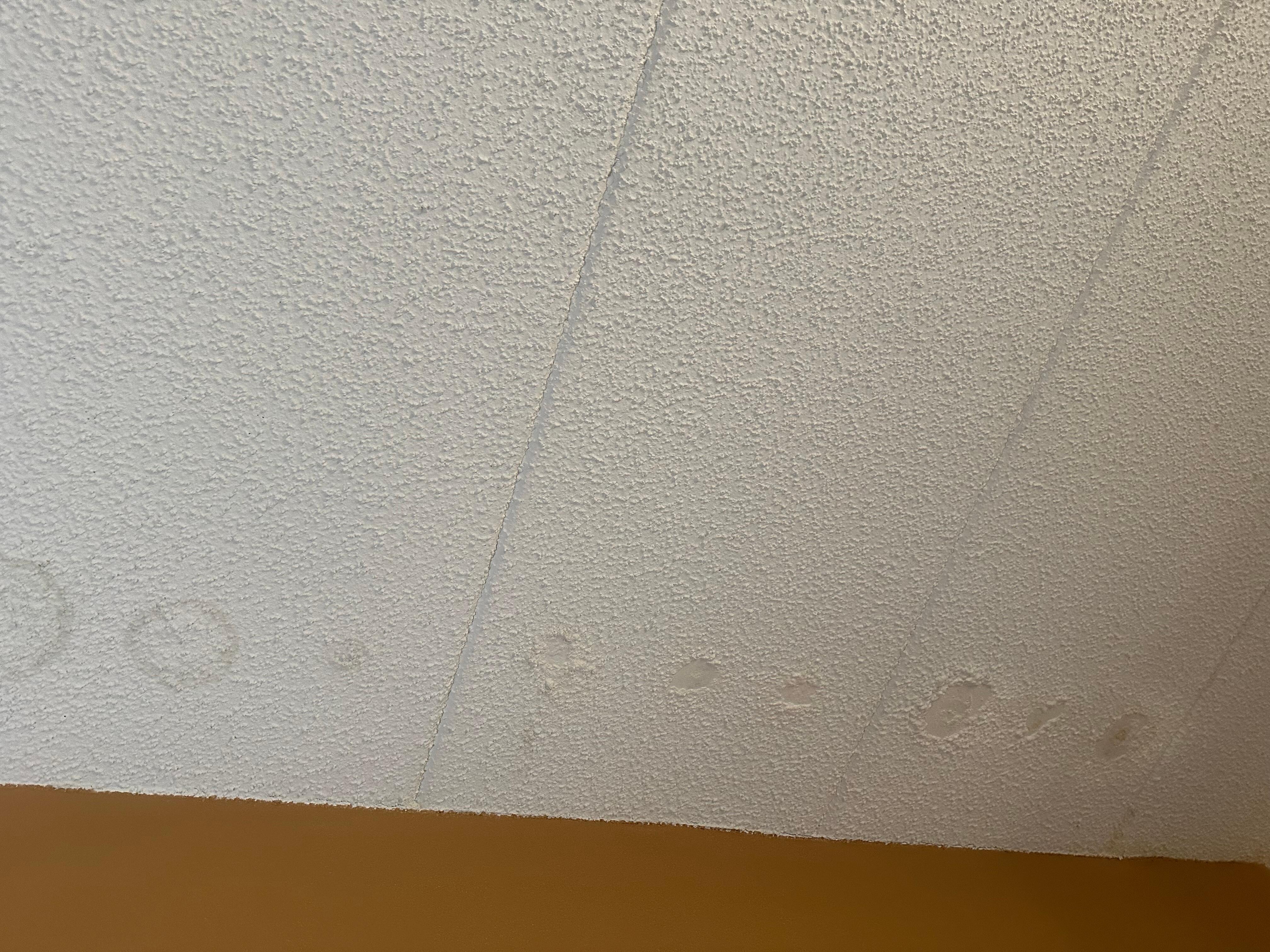 Water damage on ceiling right above head of the bed. Maybe where the powder was coming from?