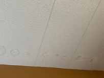 Water damage on ceiling right above head of the bed. Maybe where the powder was coming from?