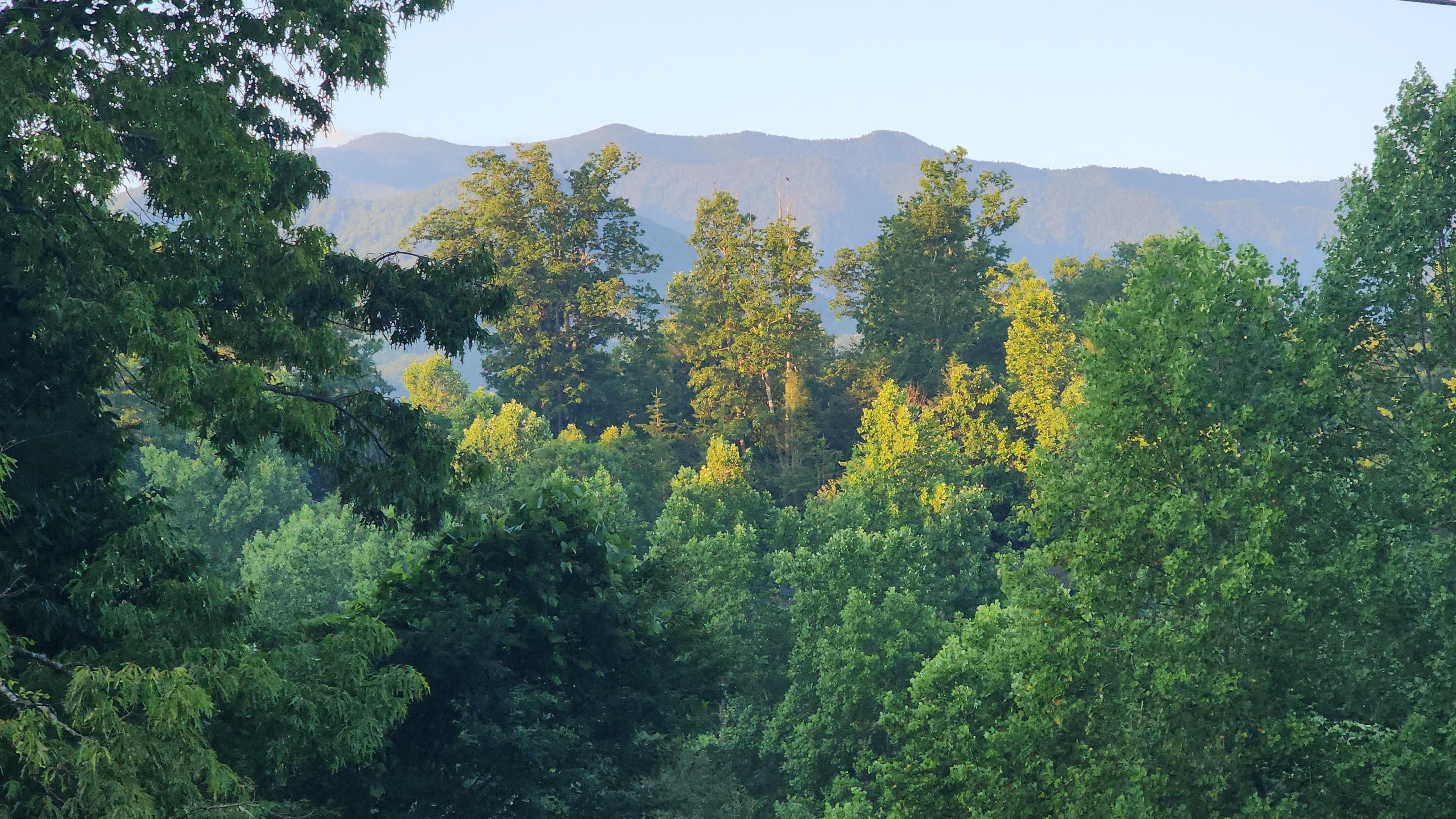View from the hotub on the deck