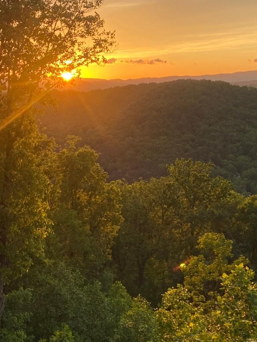 Views from deck