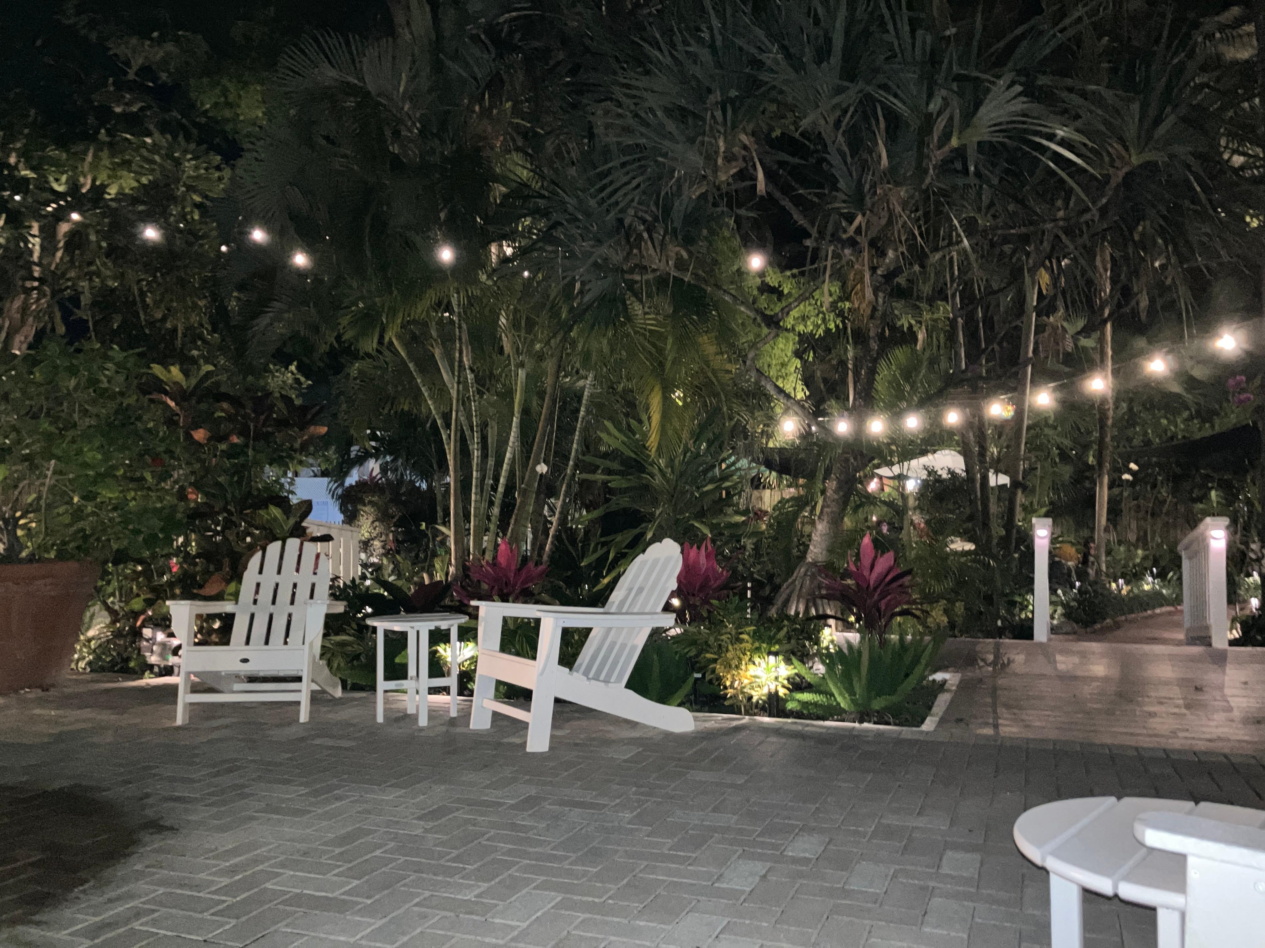 Magical garden at night.