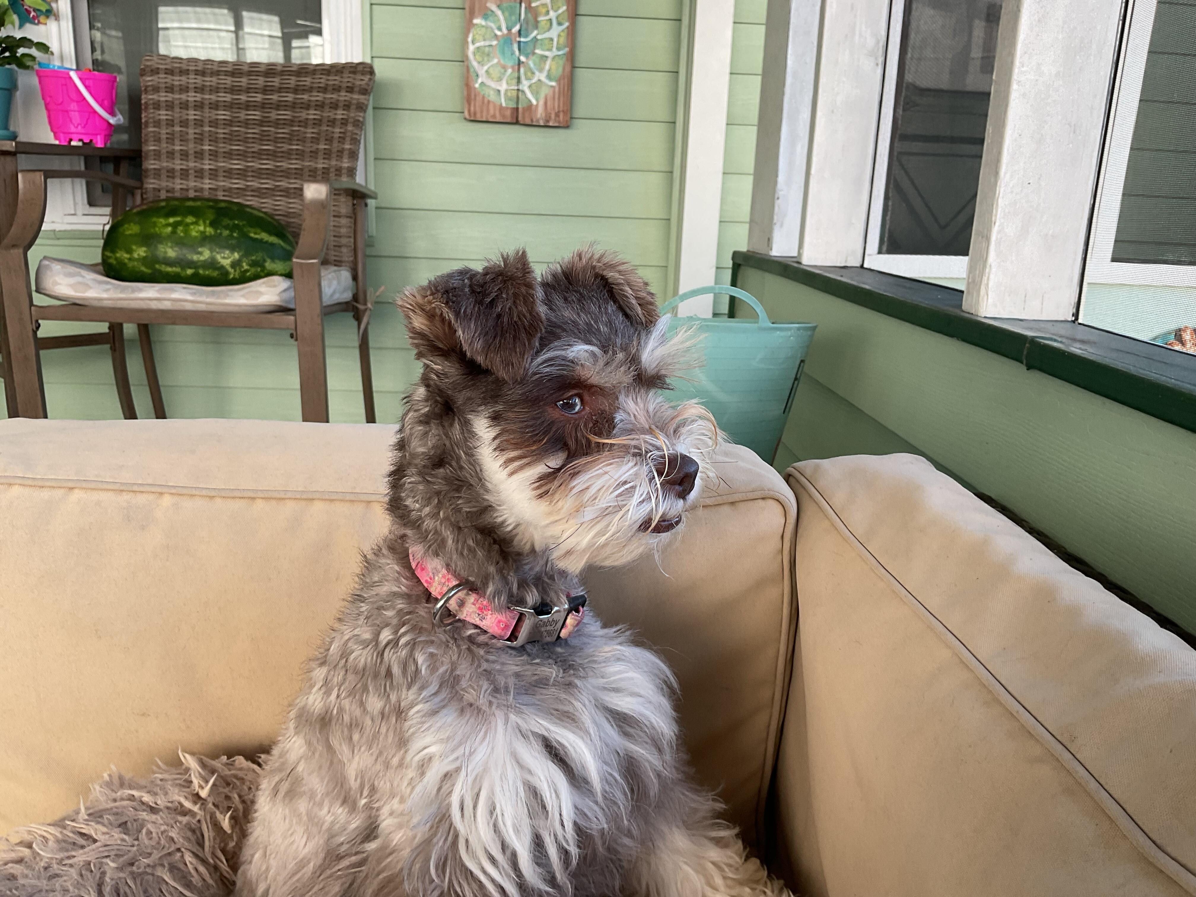 Gabby LOVED the Porch!