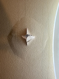 Need repair