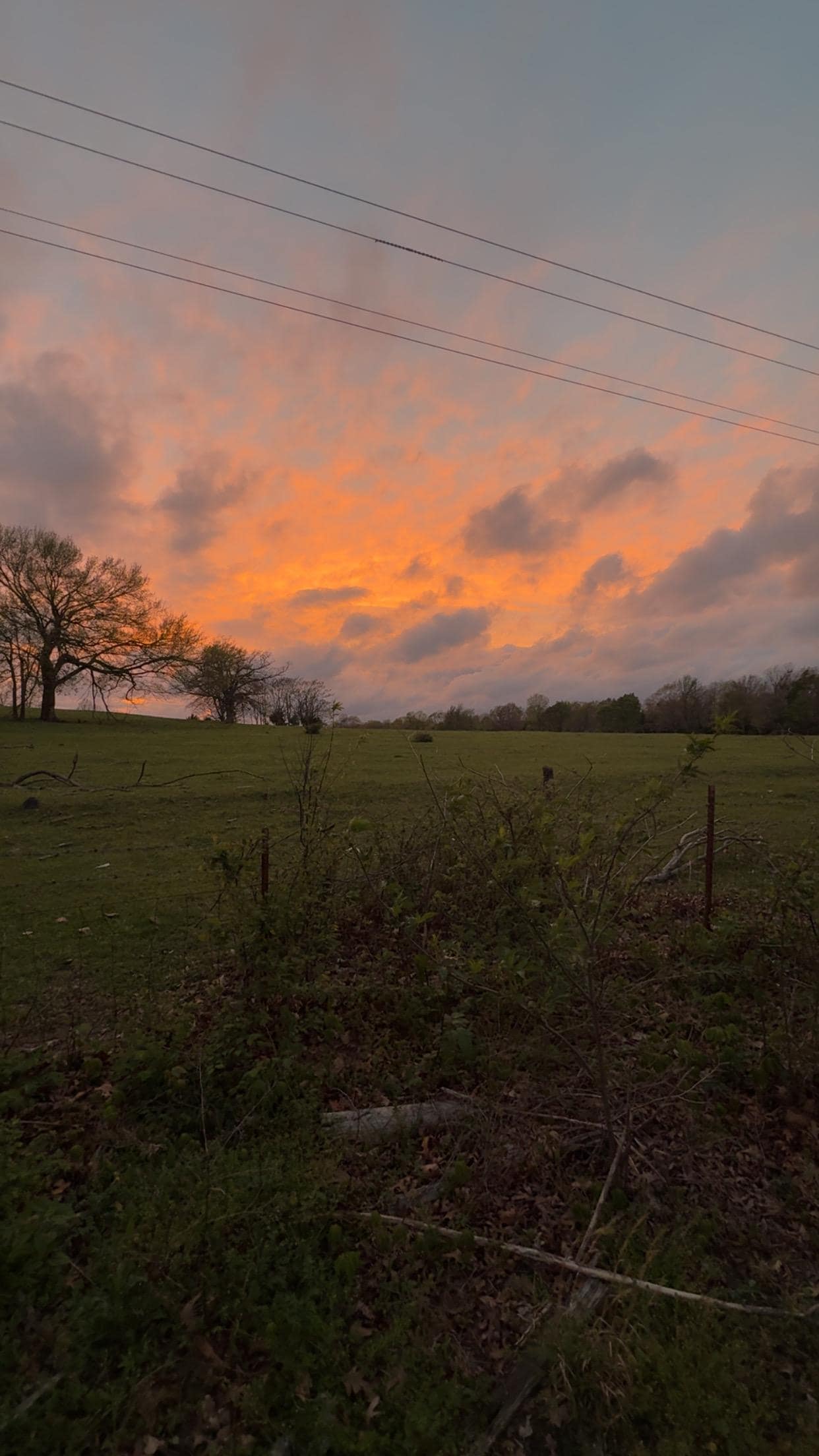 Sunset outside the cabin. 